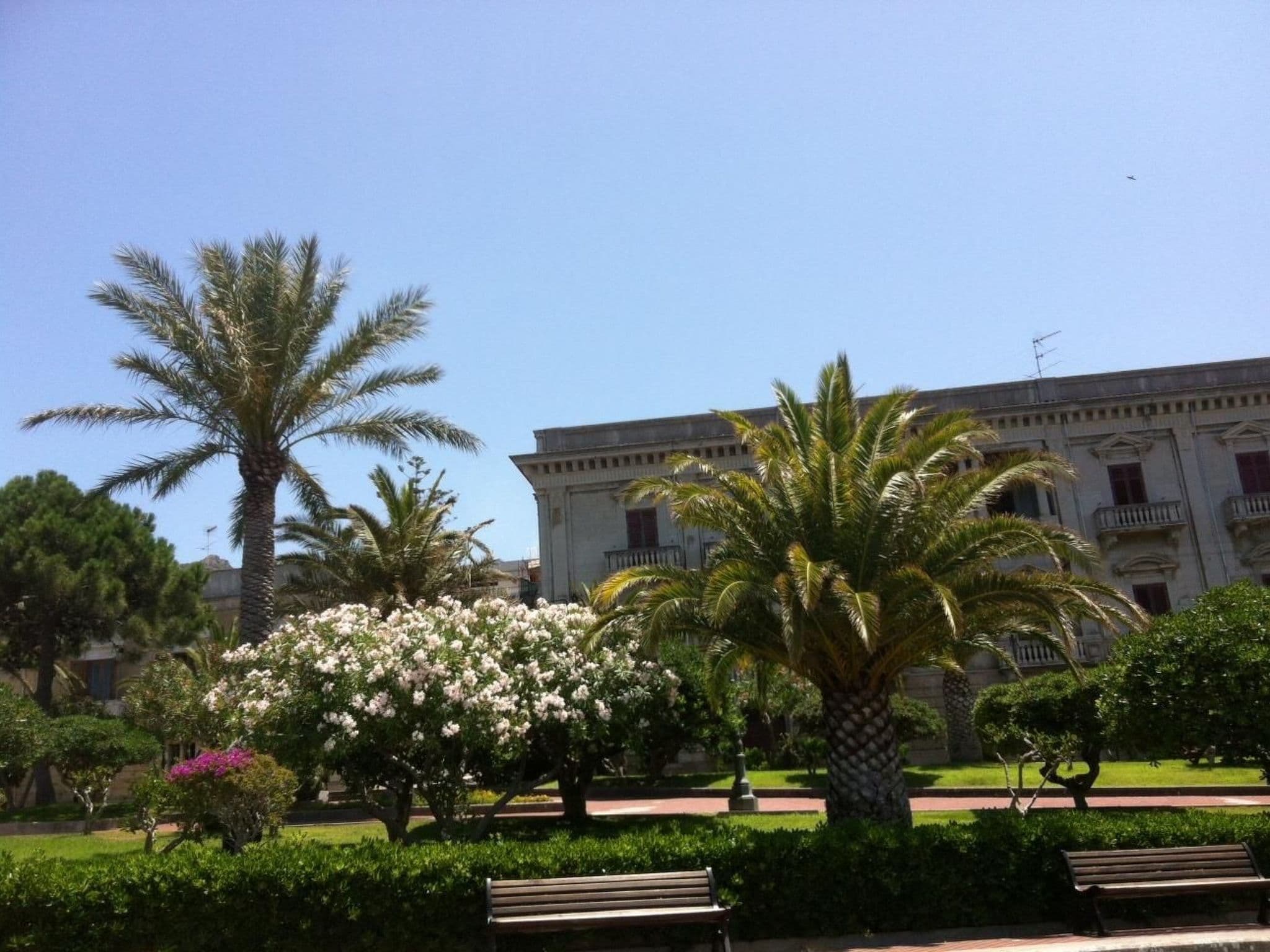 Gallery Image 11