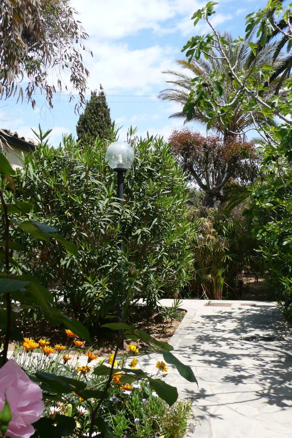Gallery Image 20