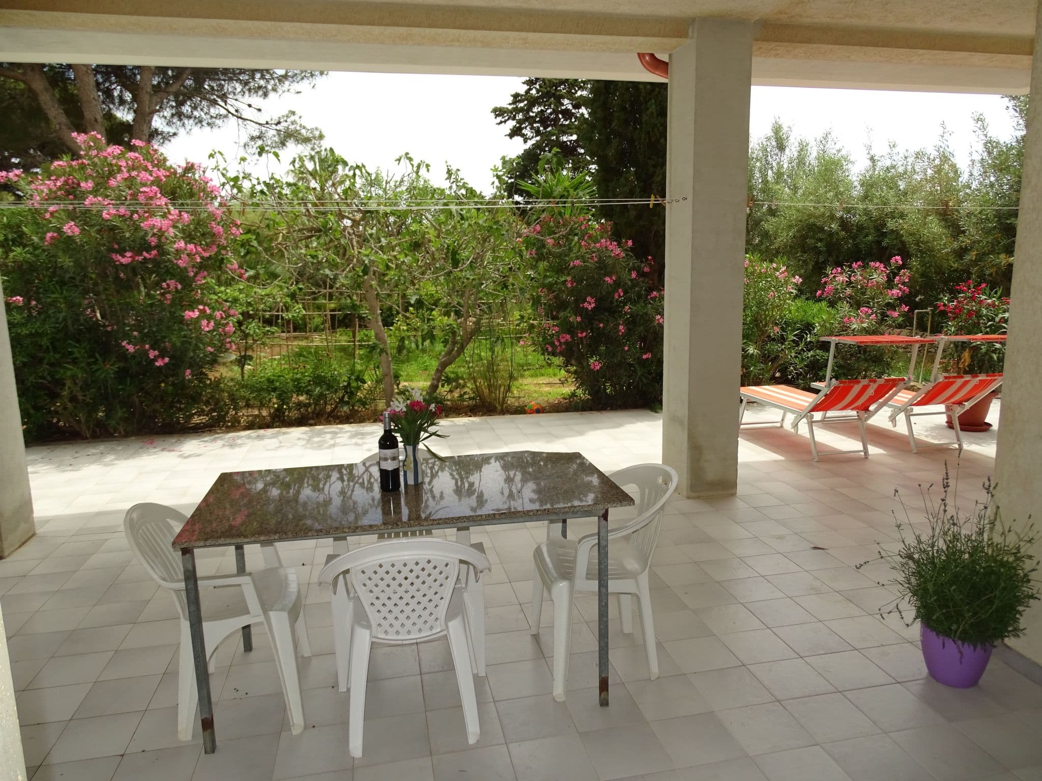 Gallery Image 21