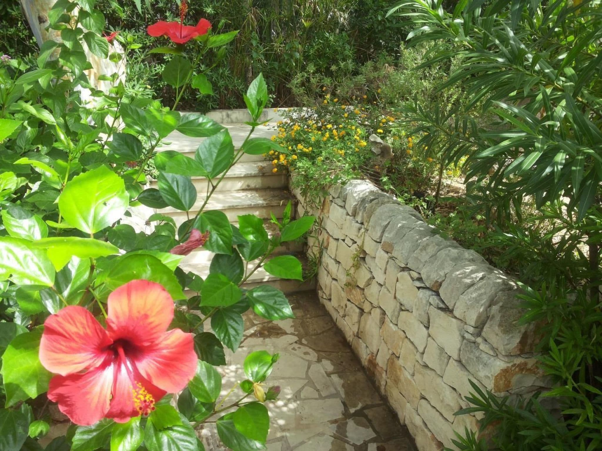 Gallery Image 29
