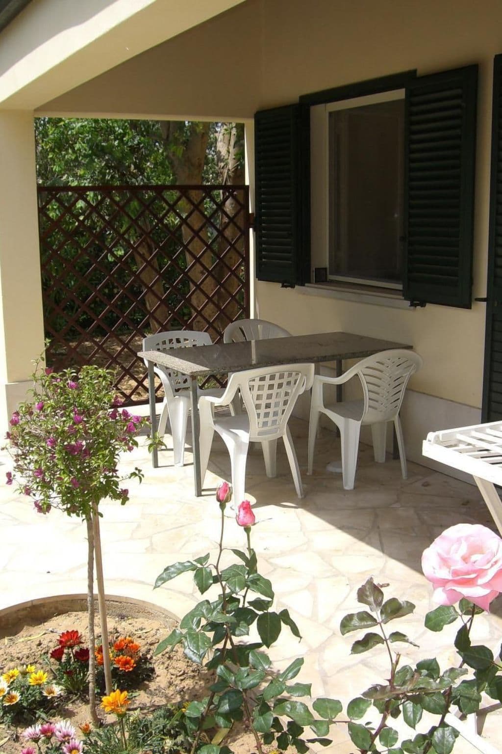 Gallery Image 20