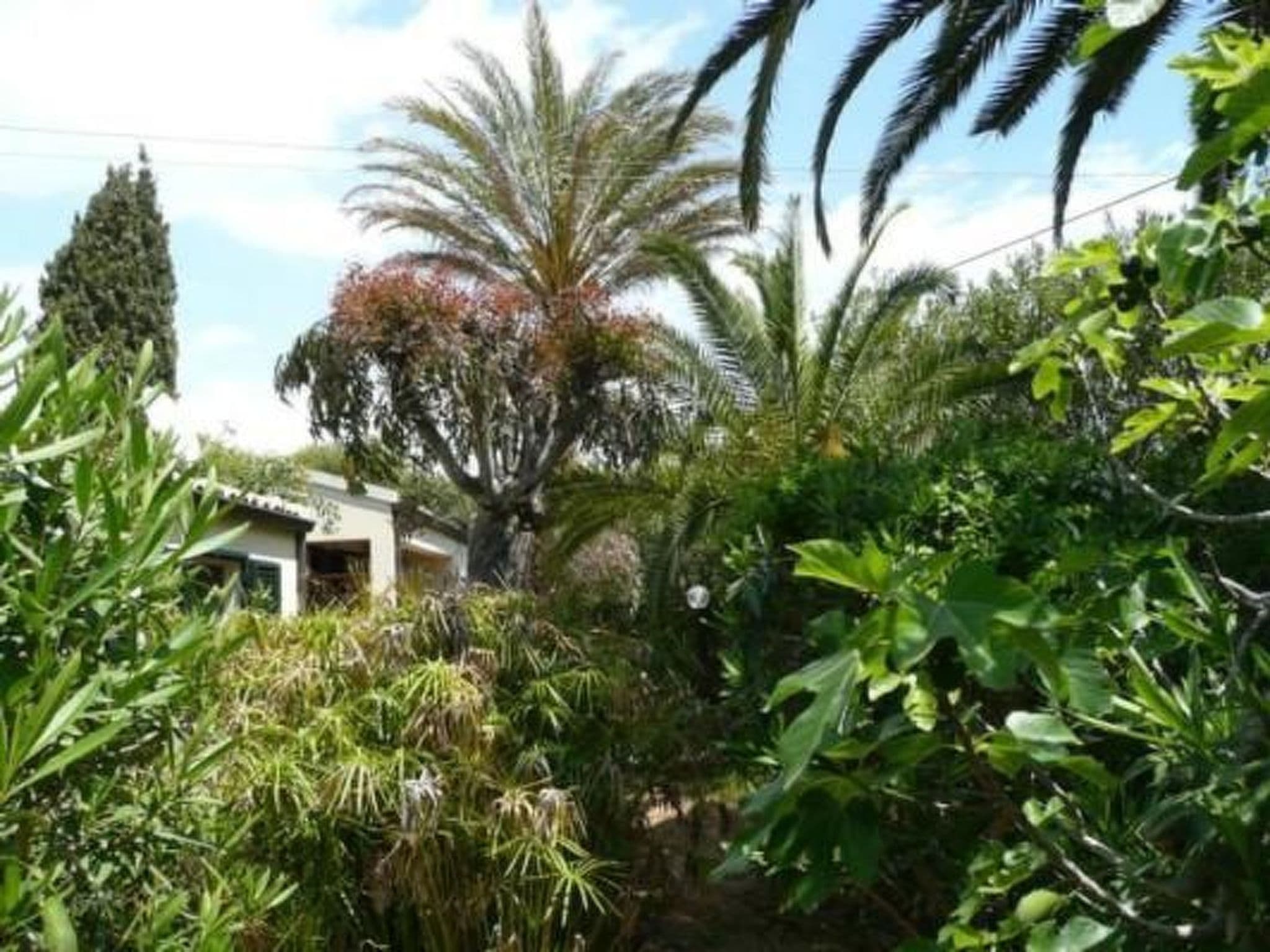 Gallery Image 18