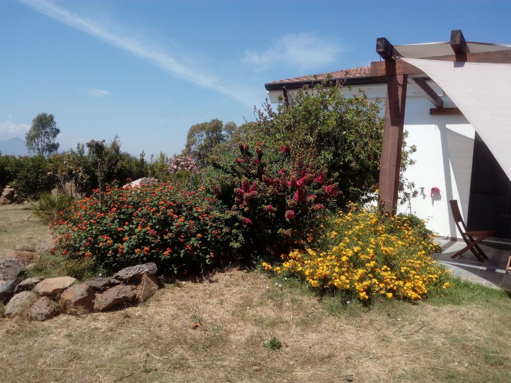 Gallery Image 30