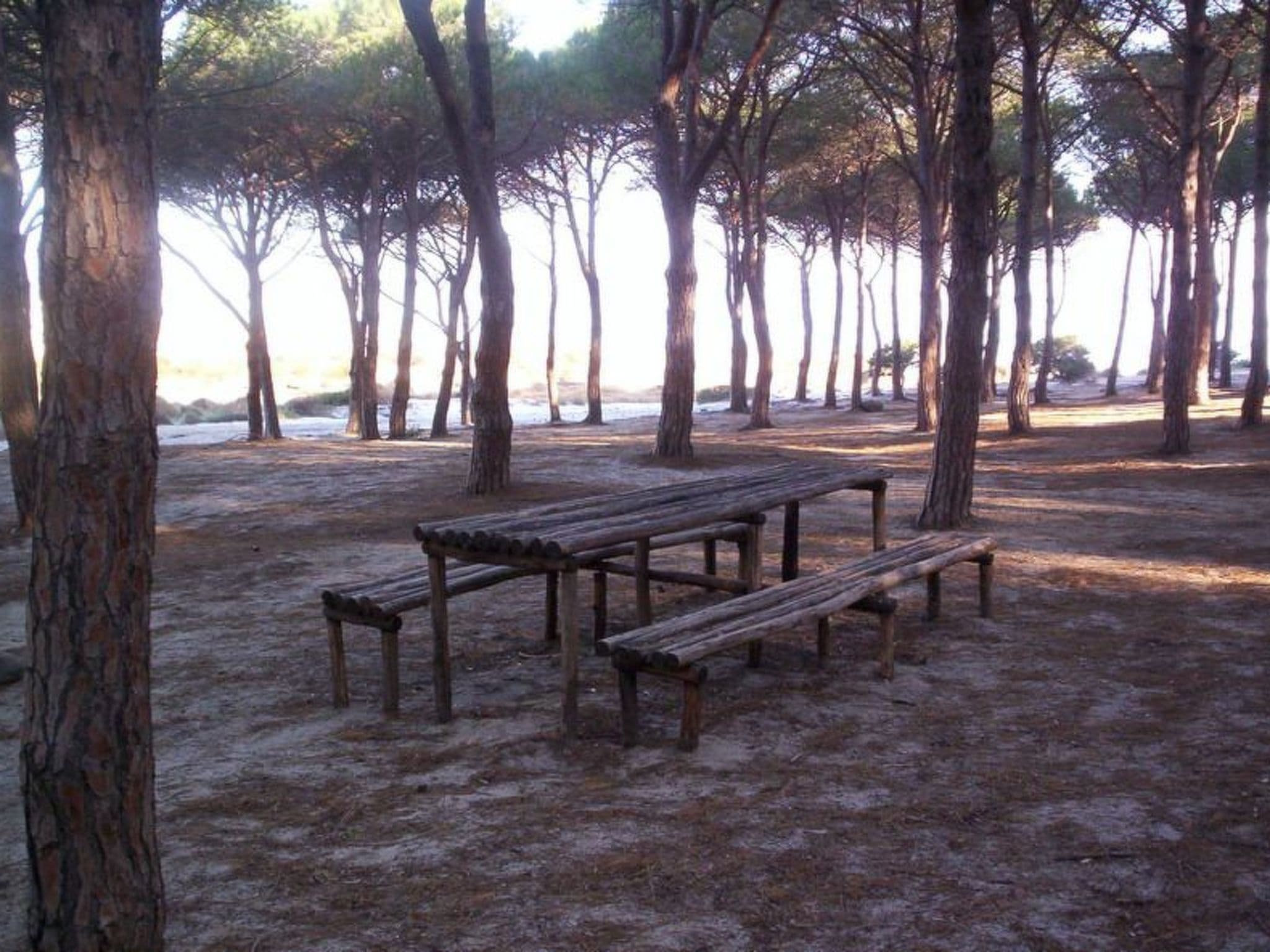 Gallery Image 31