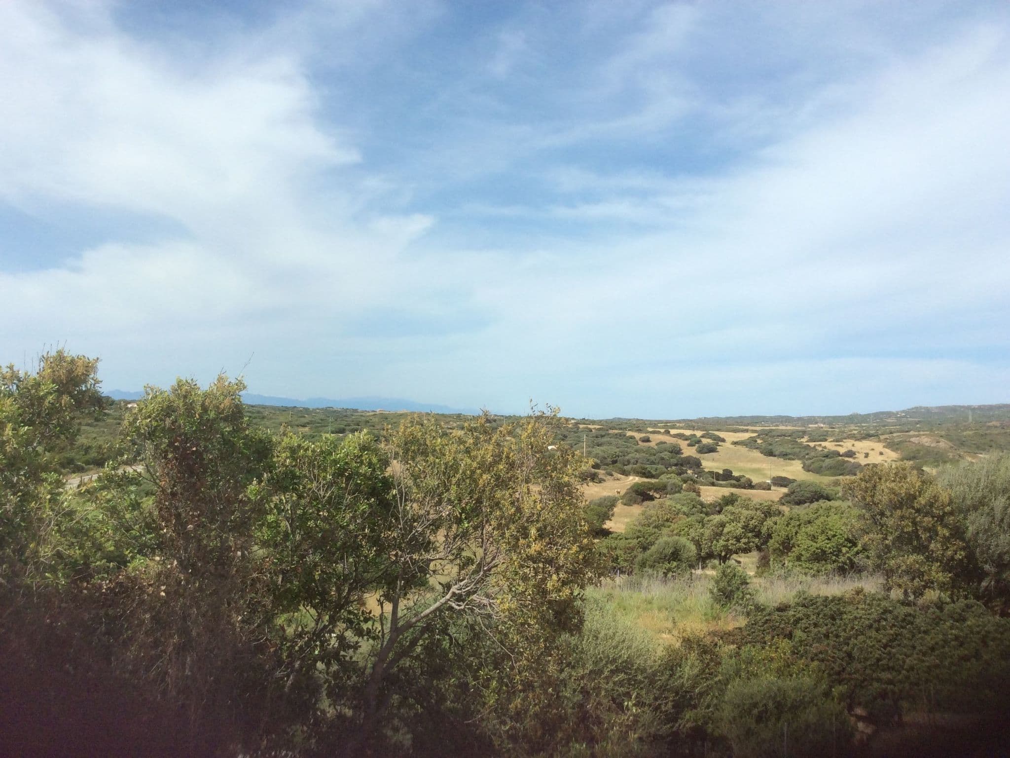 View