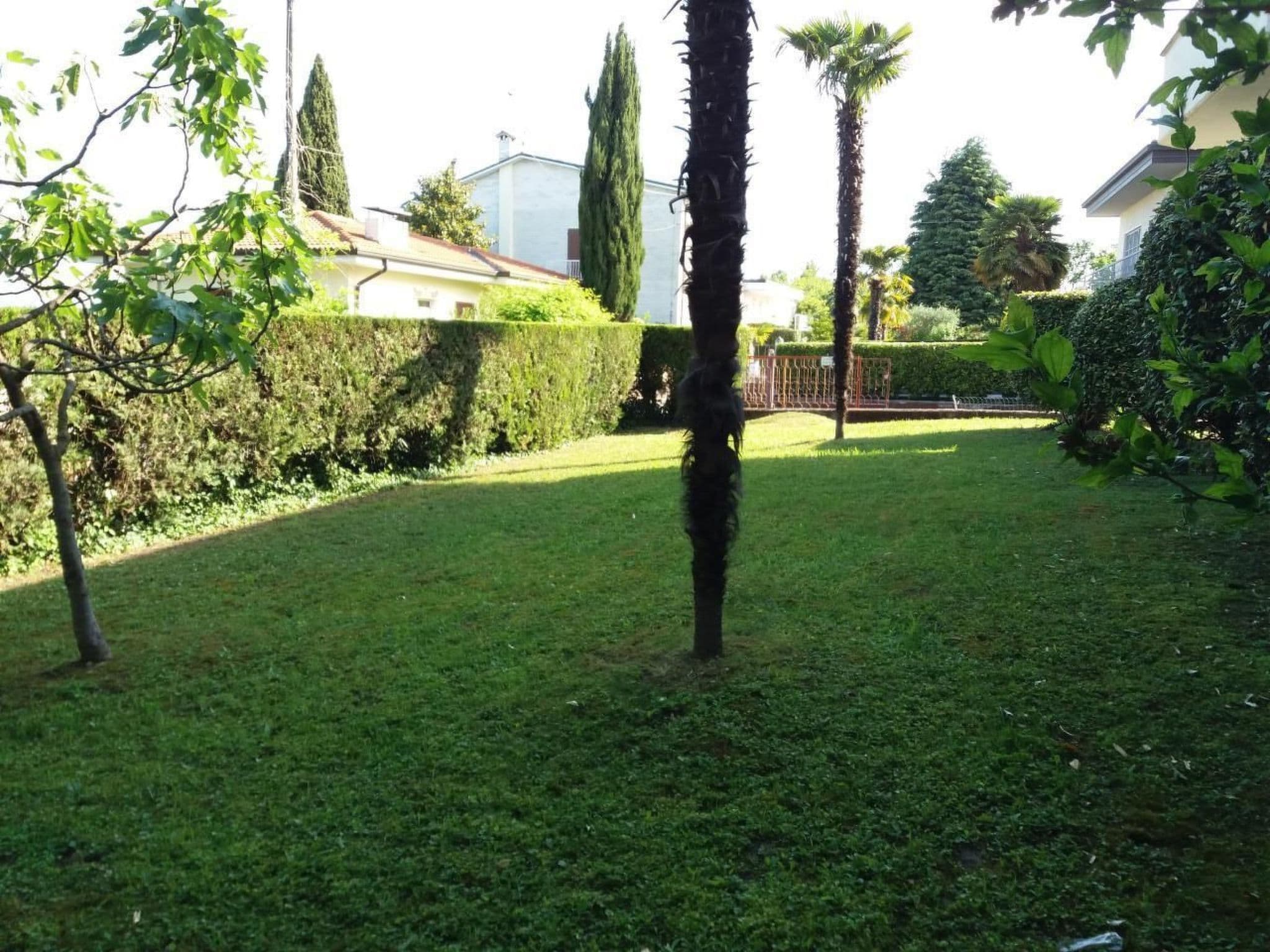 Gallery Image 27