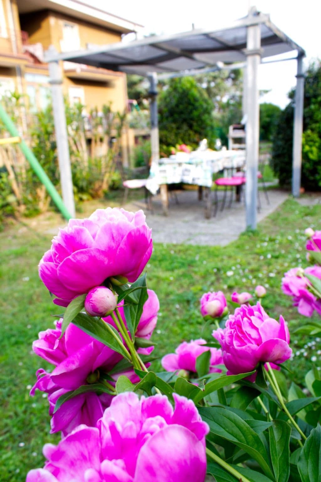 Gallery Image 38