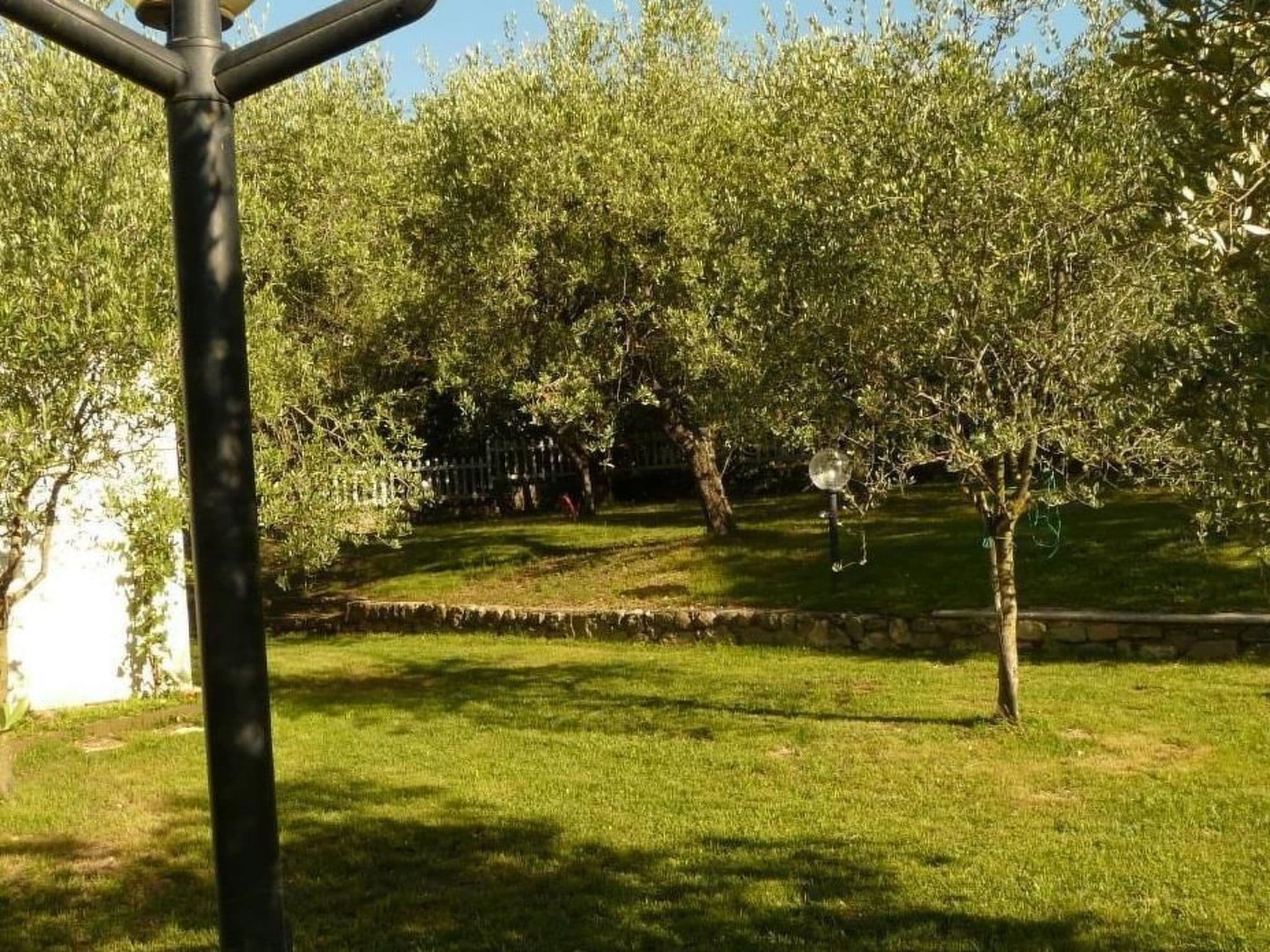 Gallery Image 23