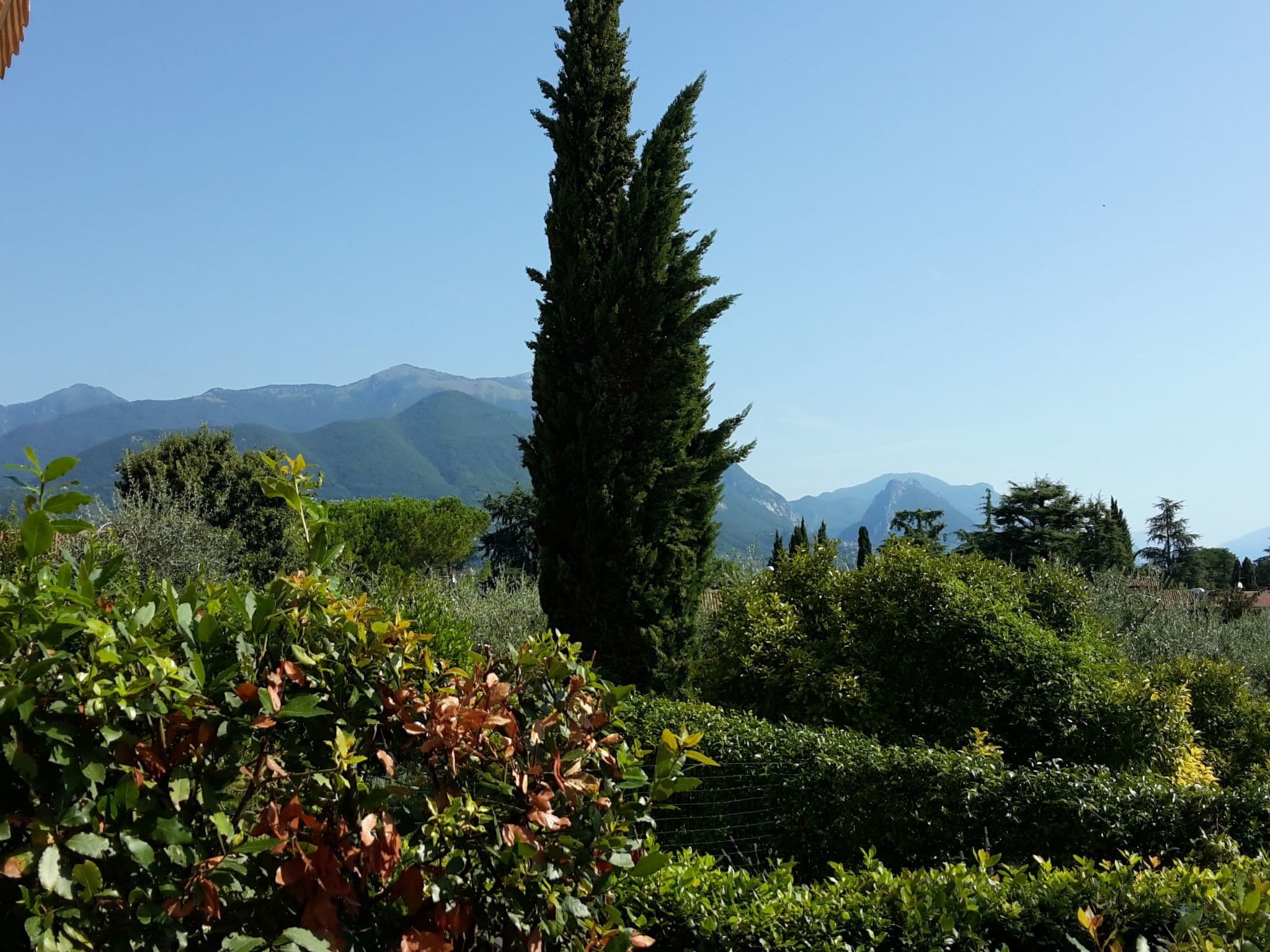 Gallery Image 11