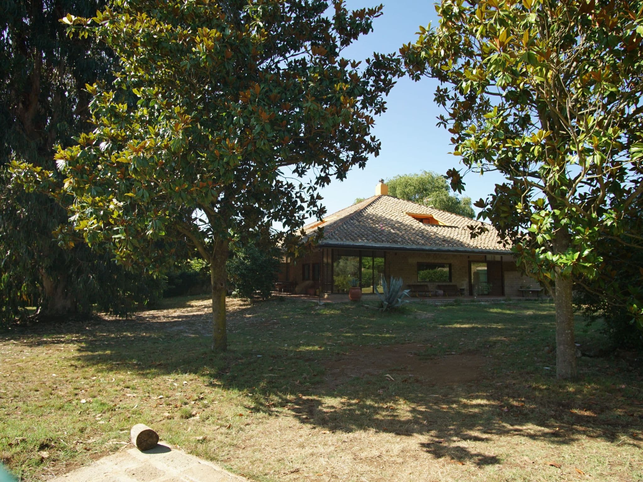 Gallery Image 13