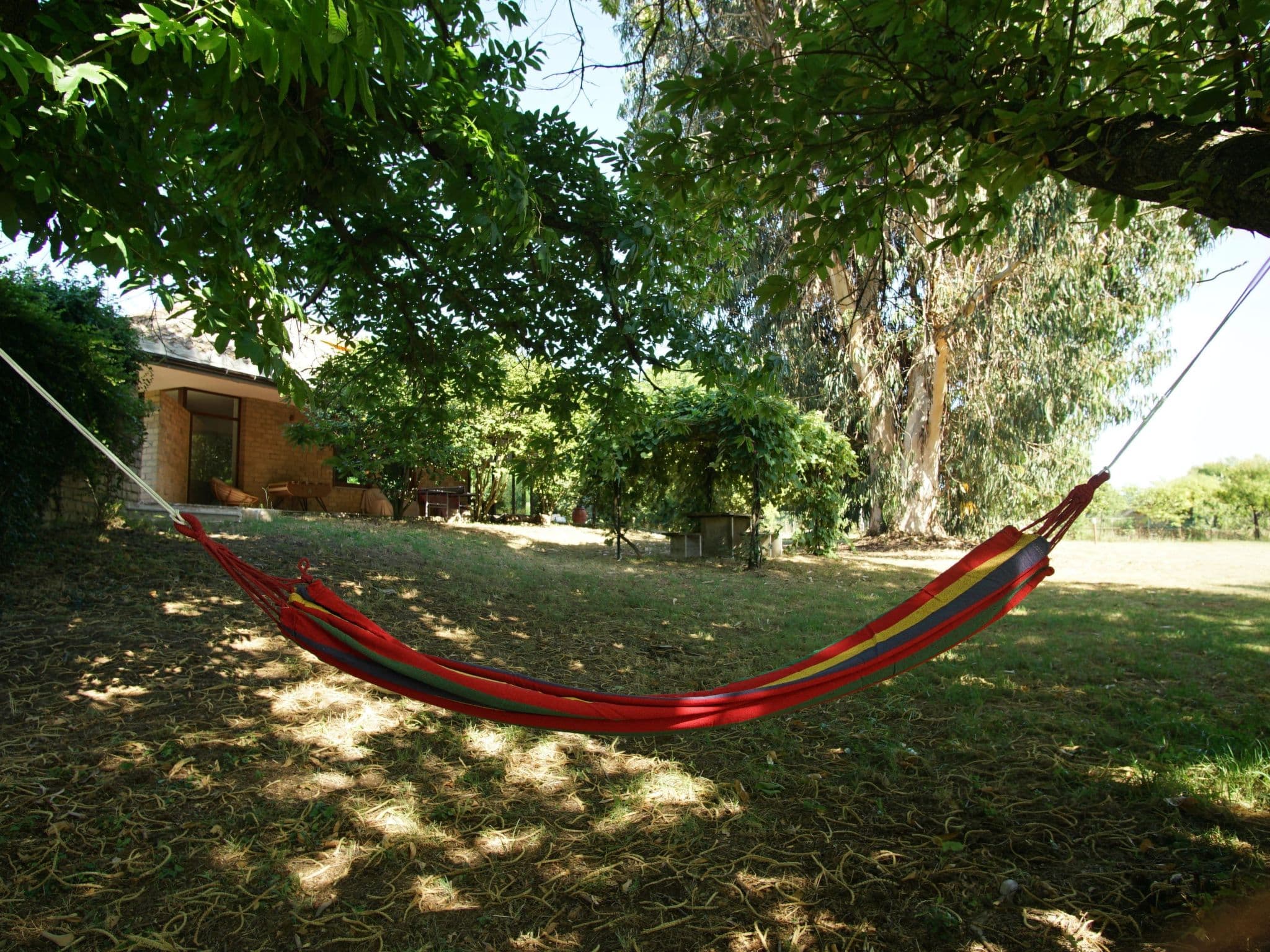 Gallery Image 10