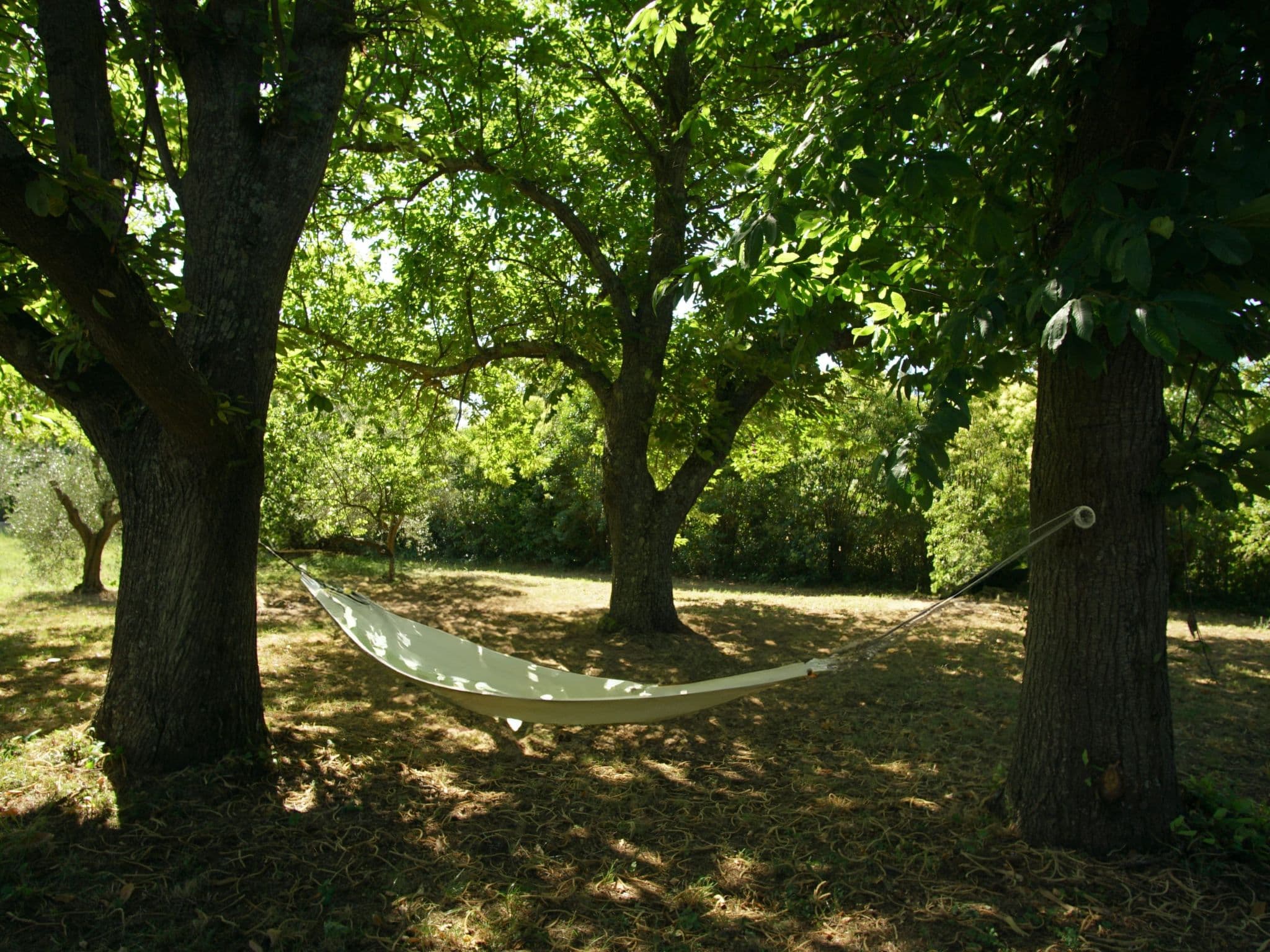 Gallery Image 9