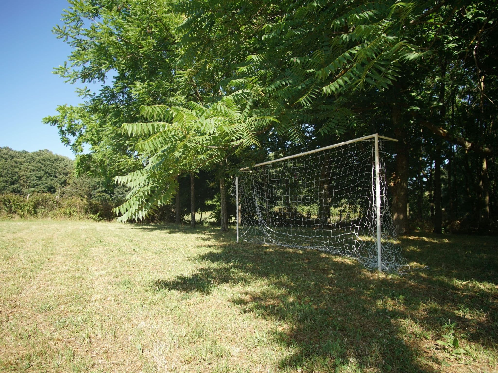 Gallery Image 8