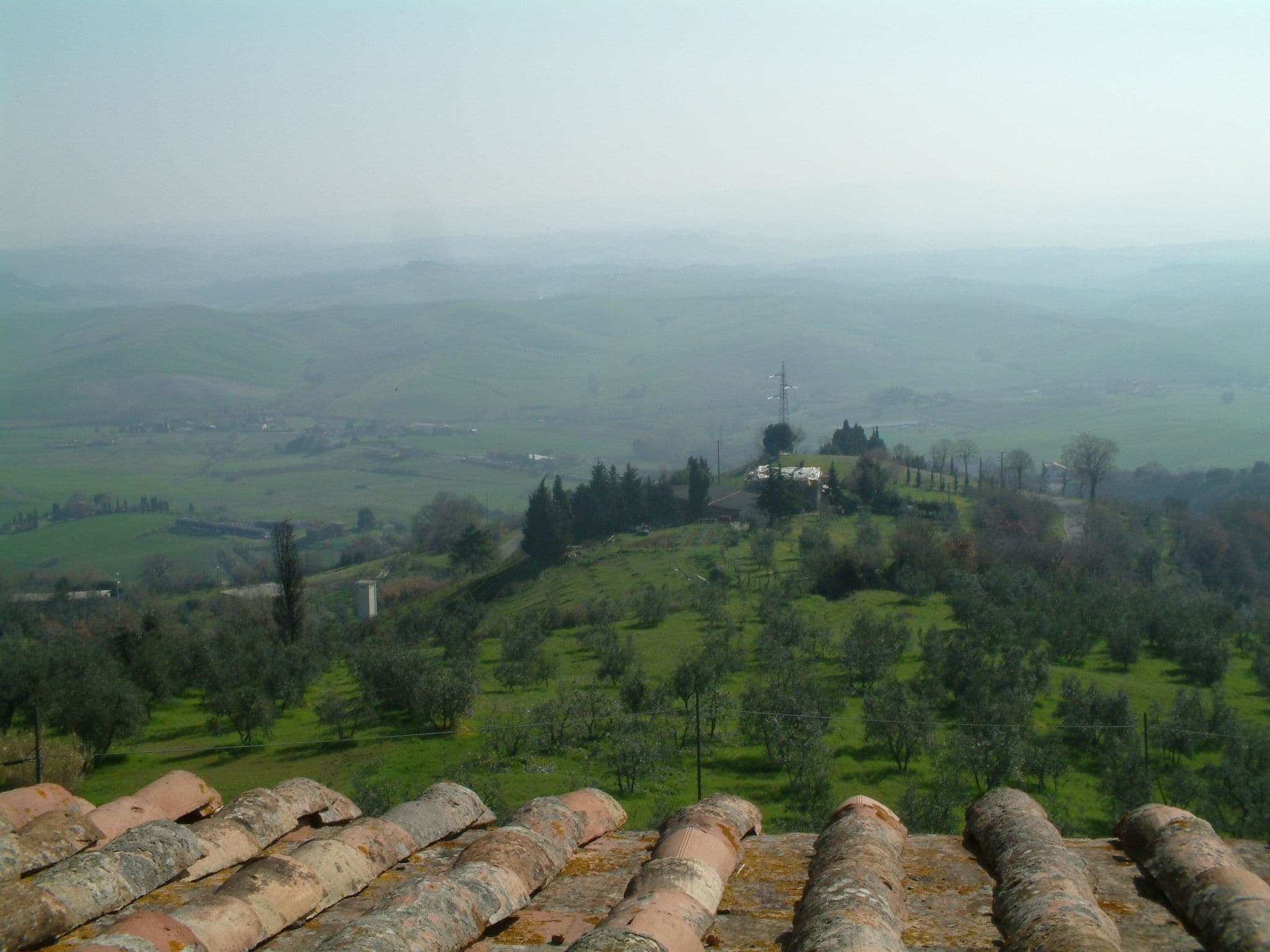 Gallery Image 28