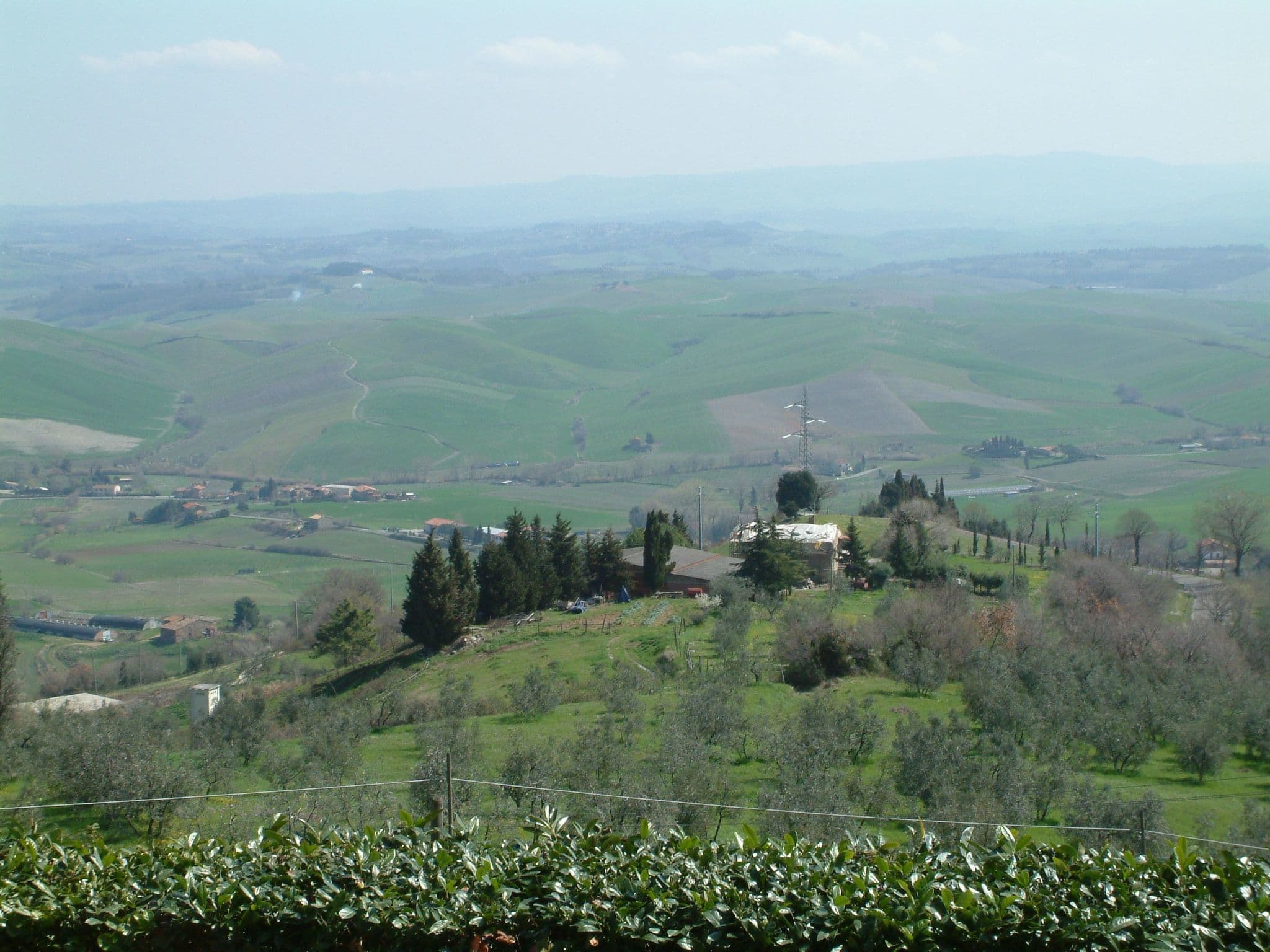 Gallery Image 15