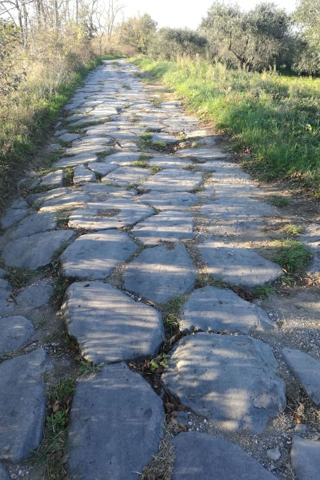 Gallery Image 27