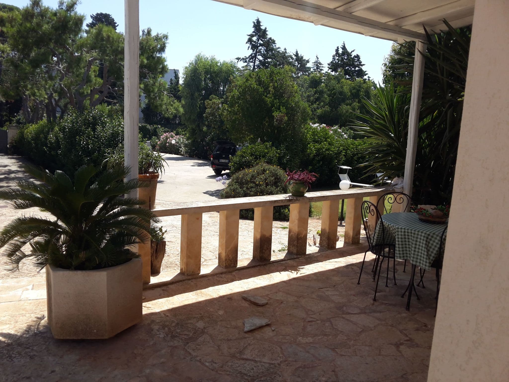 Terrace