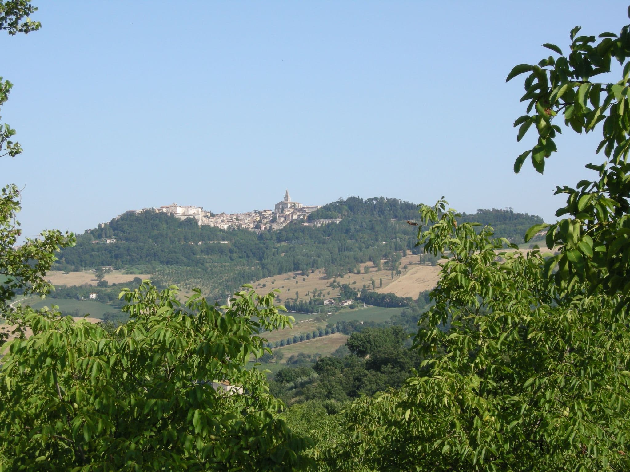 View
