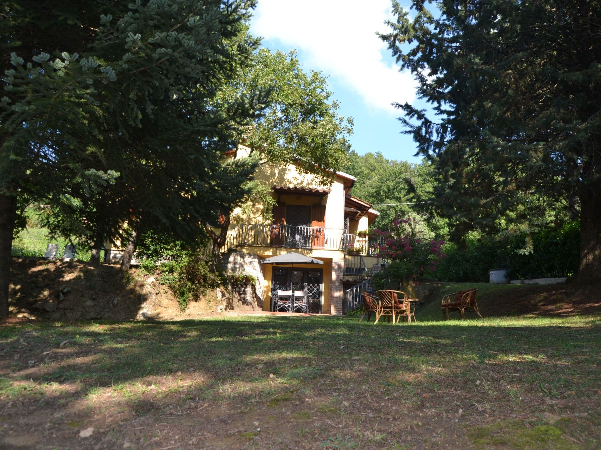 Gallery Image 24