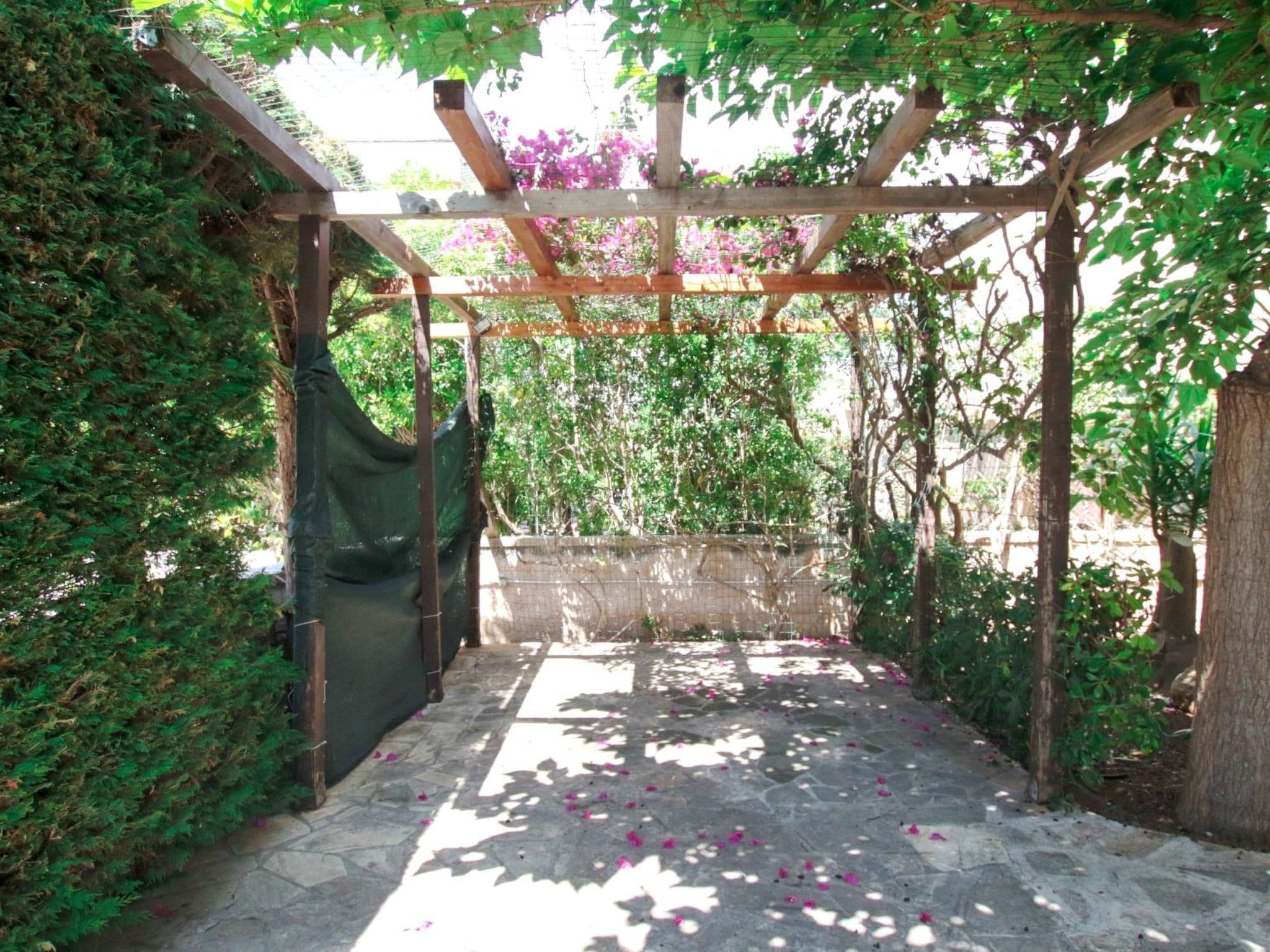 Gallery Image 22