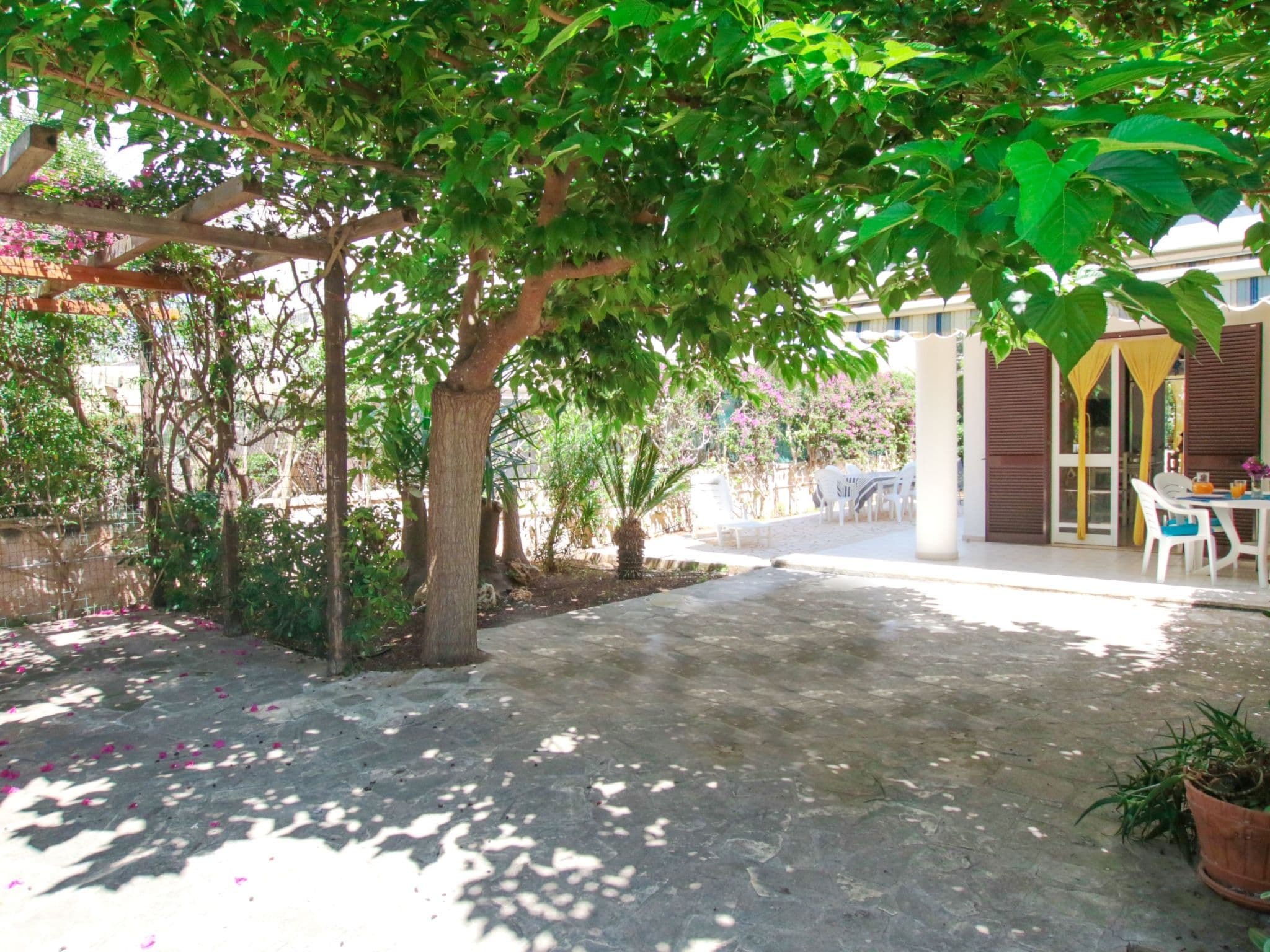 Gallery Image 23
