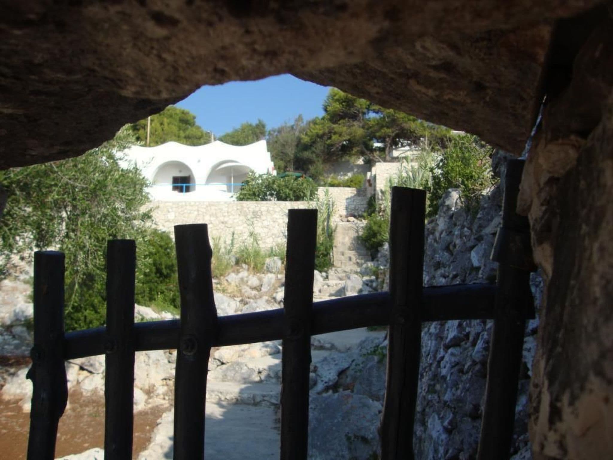 Gallery Image 9