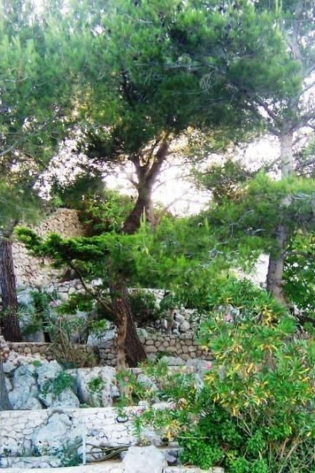 Gallery Image 7