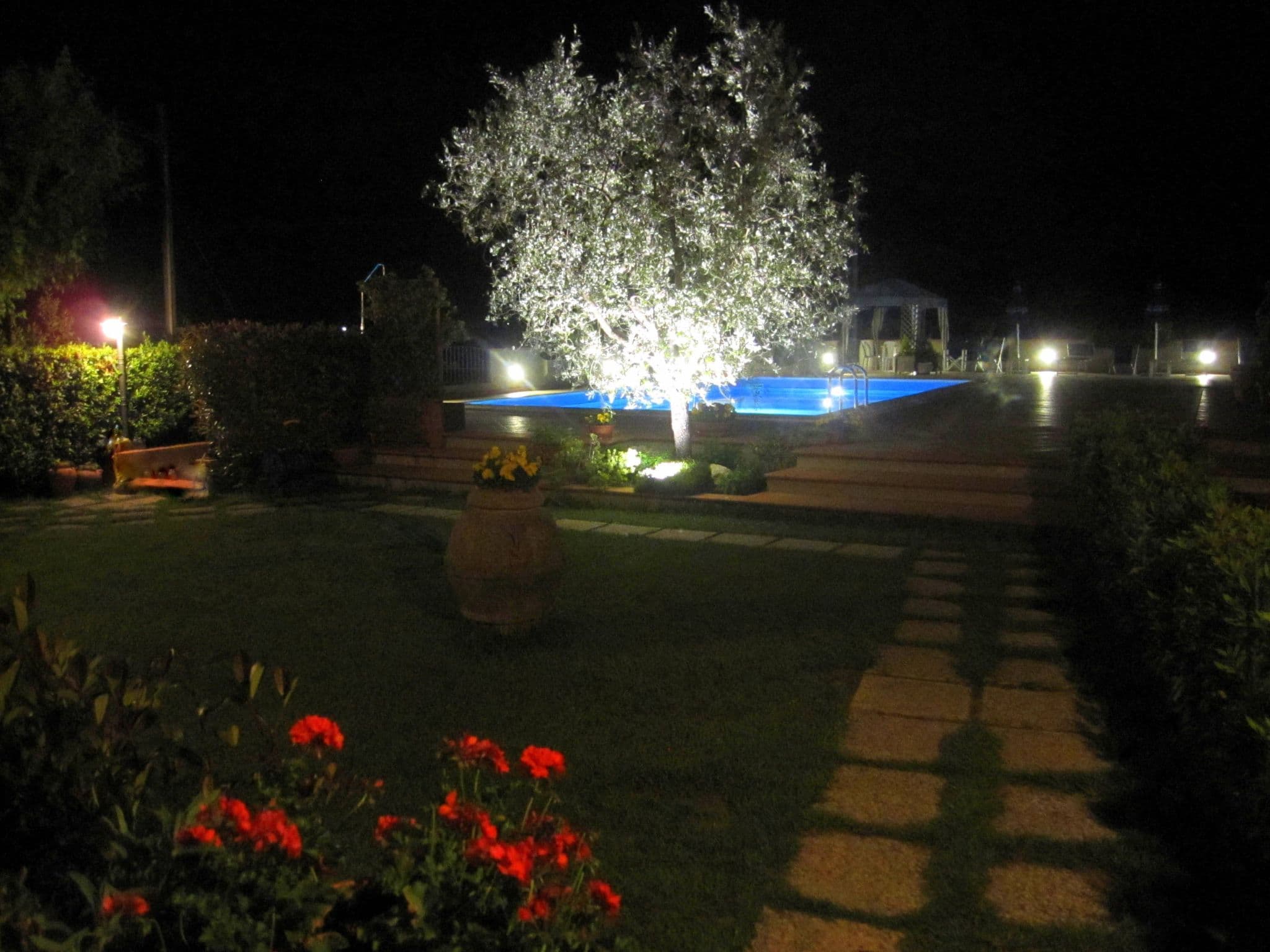 Gallery Image 26