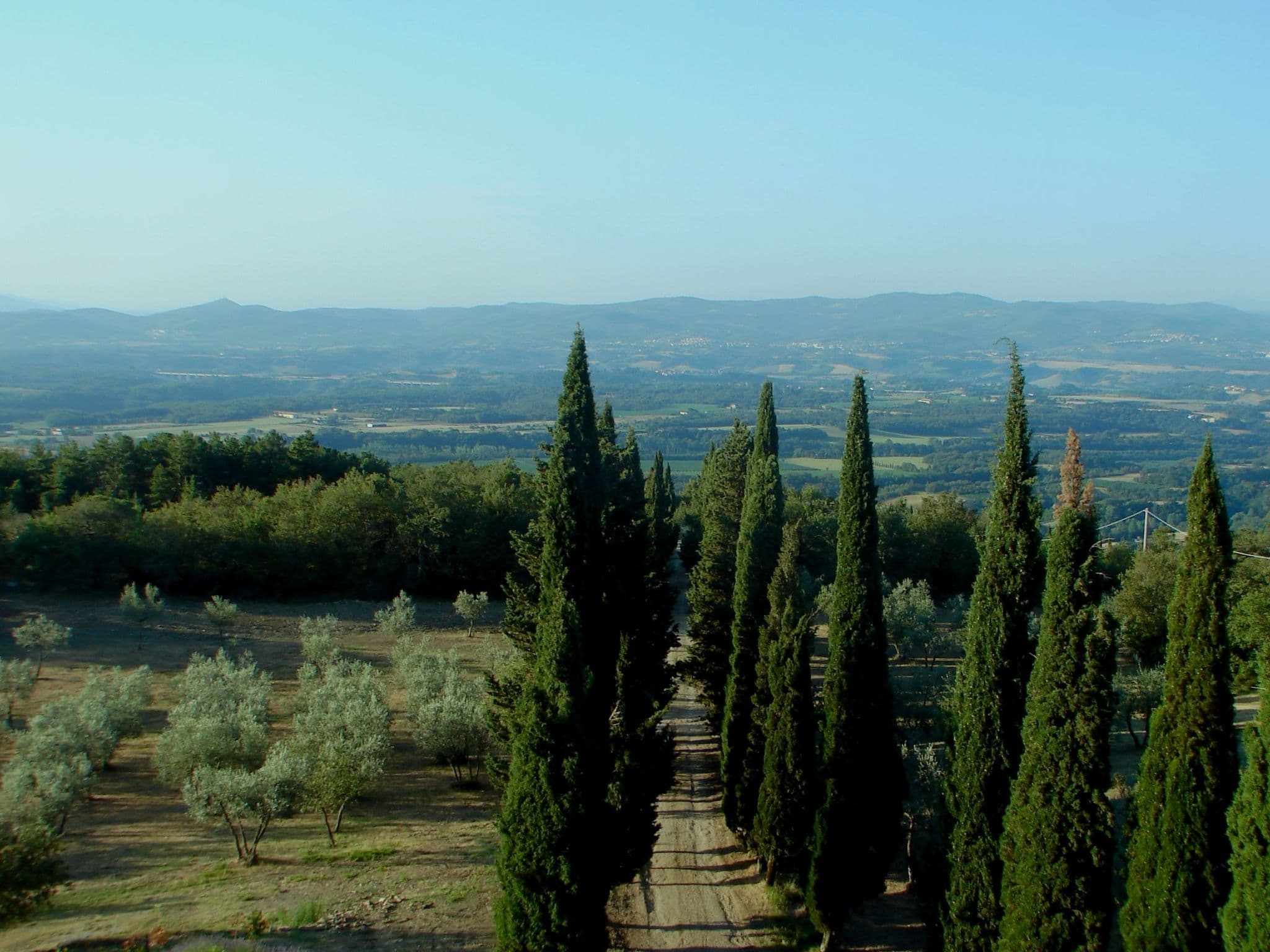 View