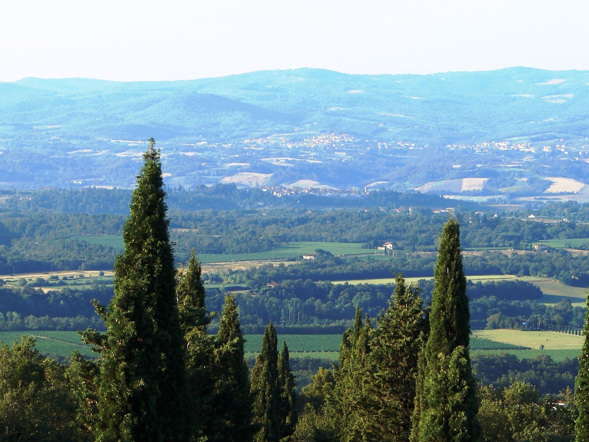 View