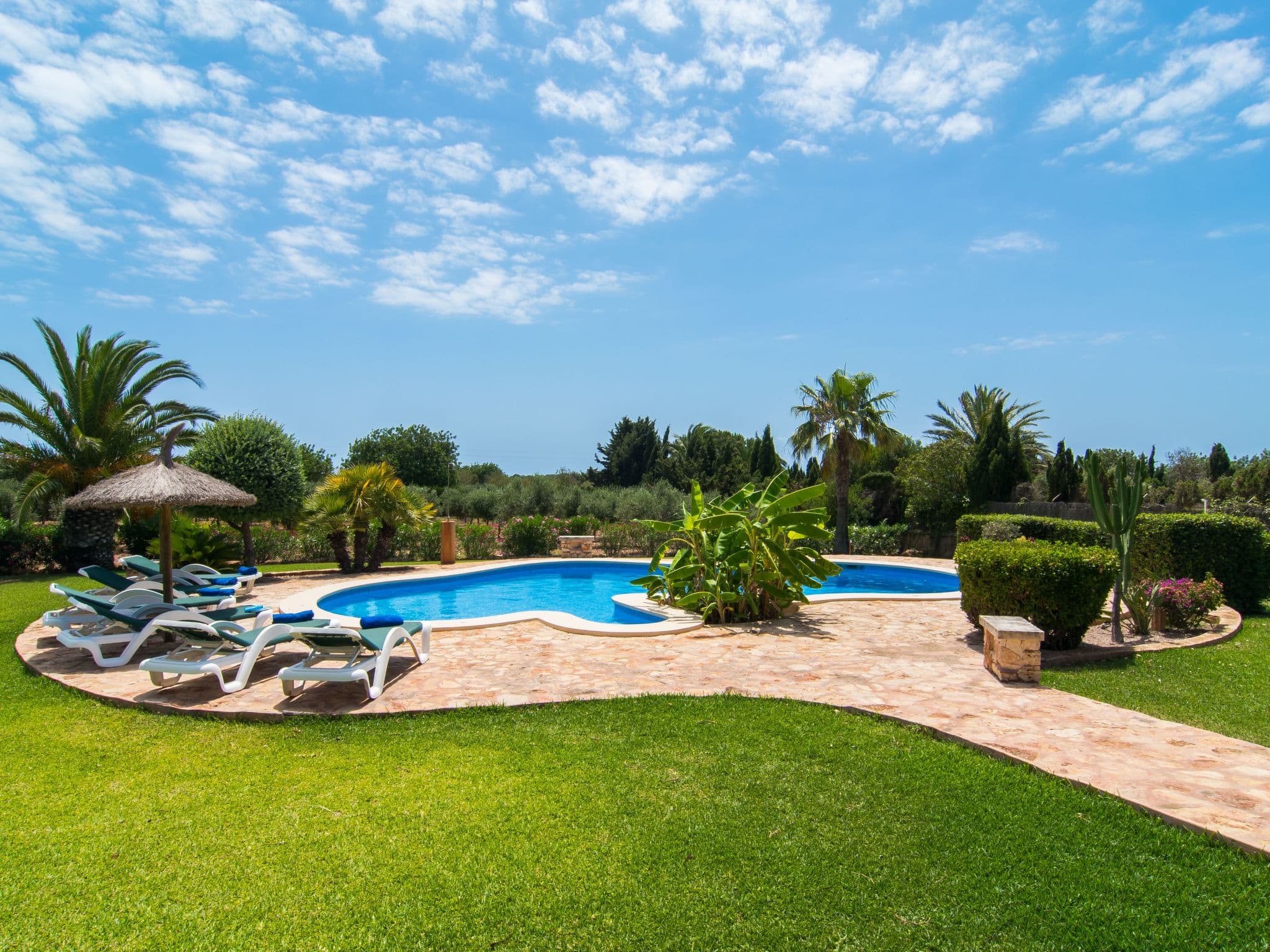 Pool Outdoor