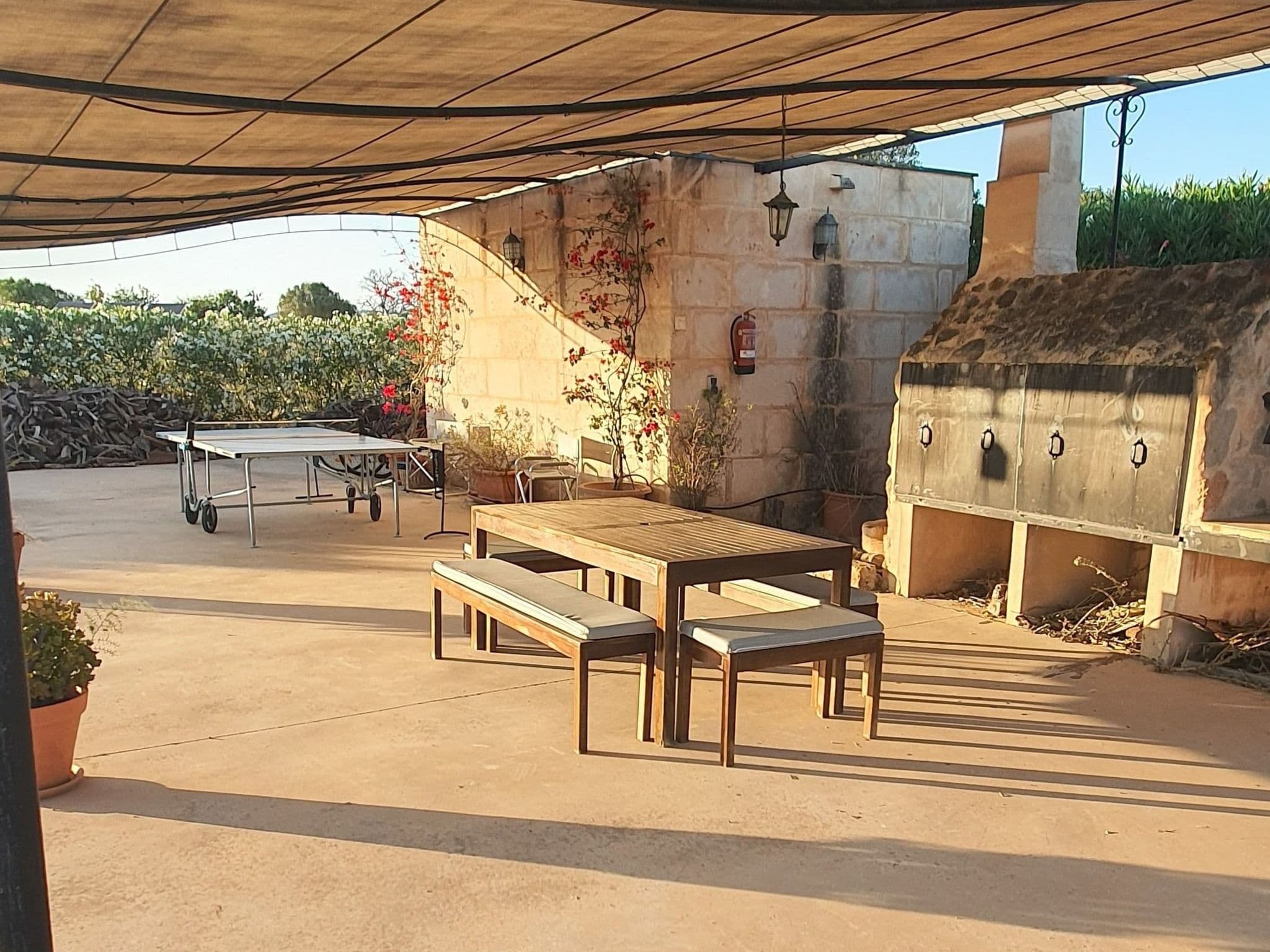 Gallery Image 17