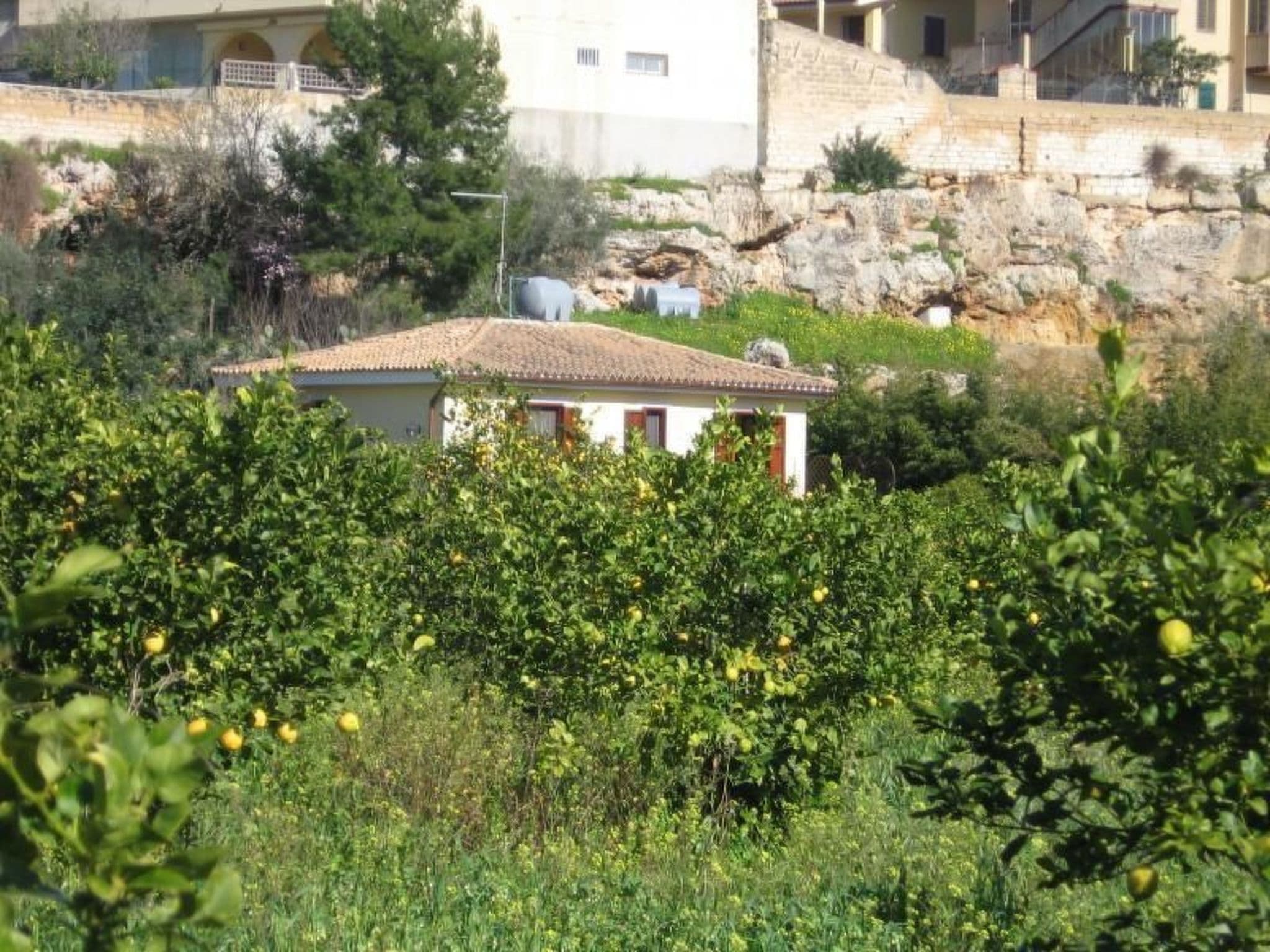 Gallery Image 11