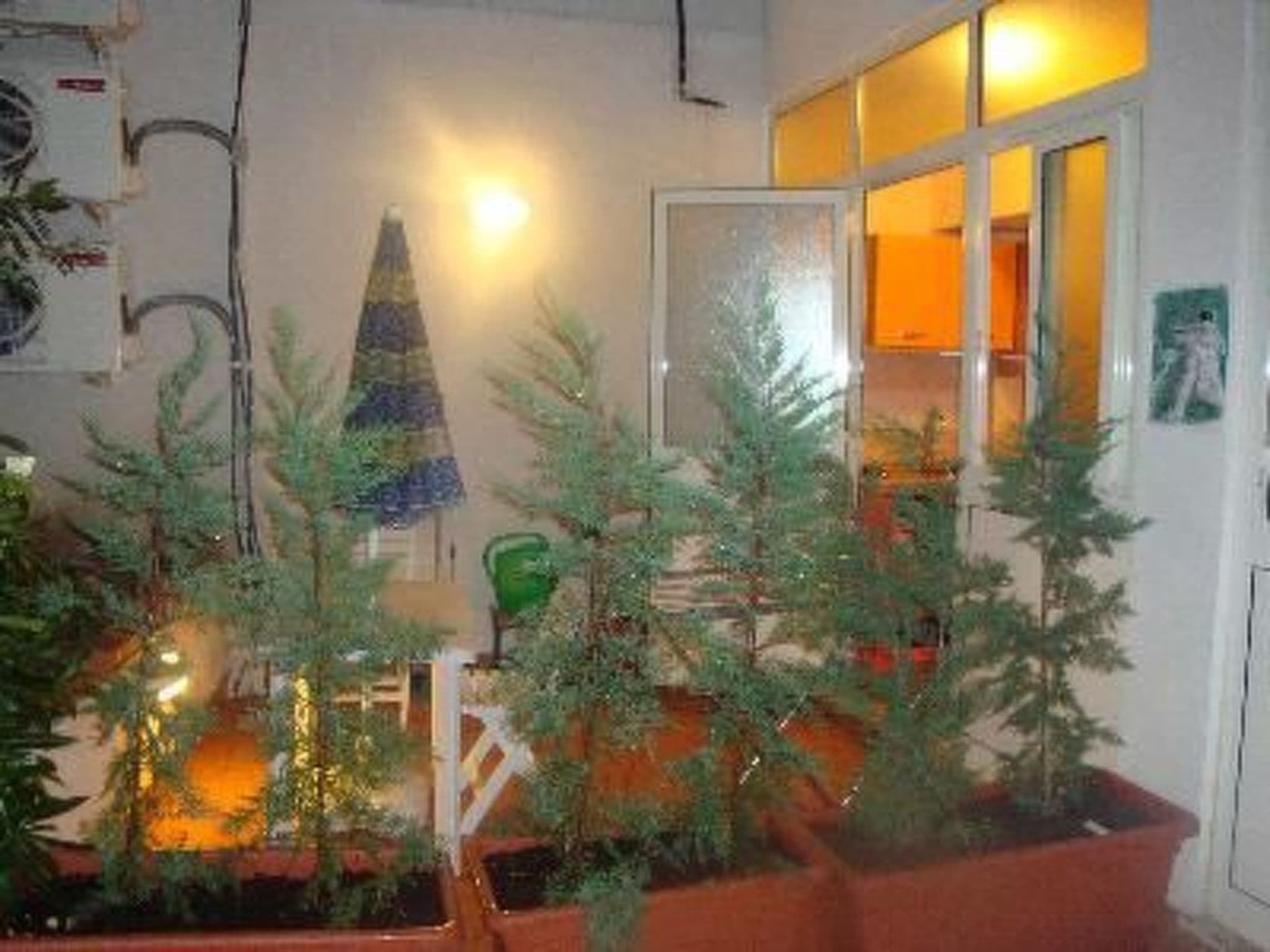 Gallery Image 13