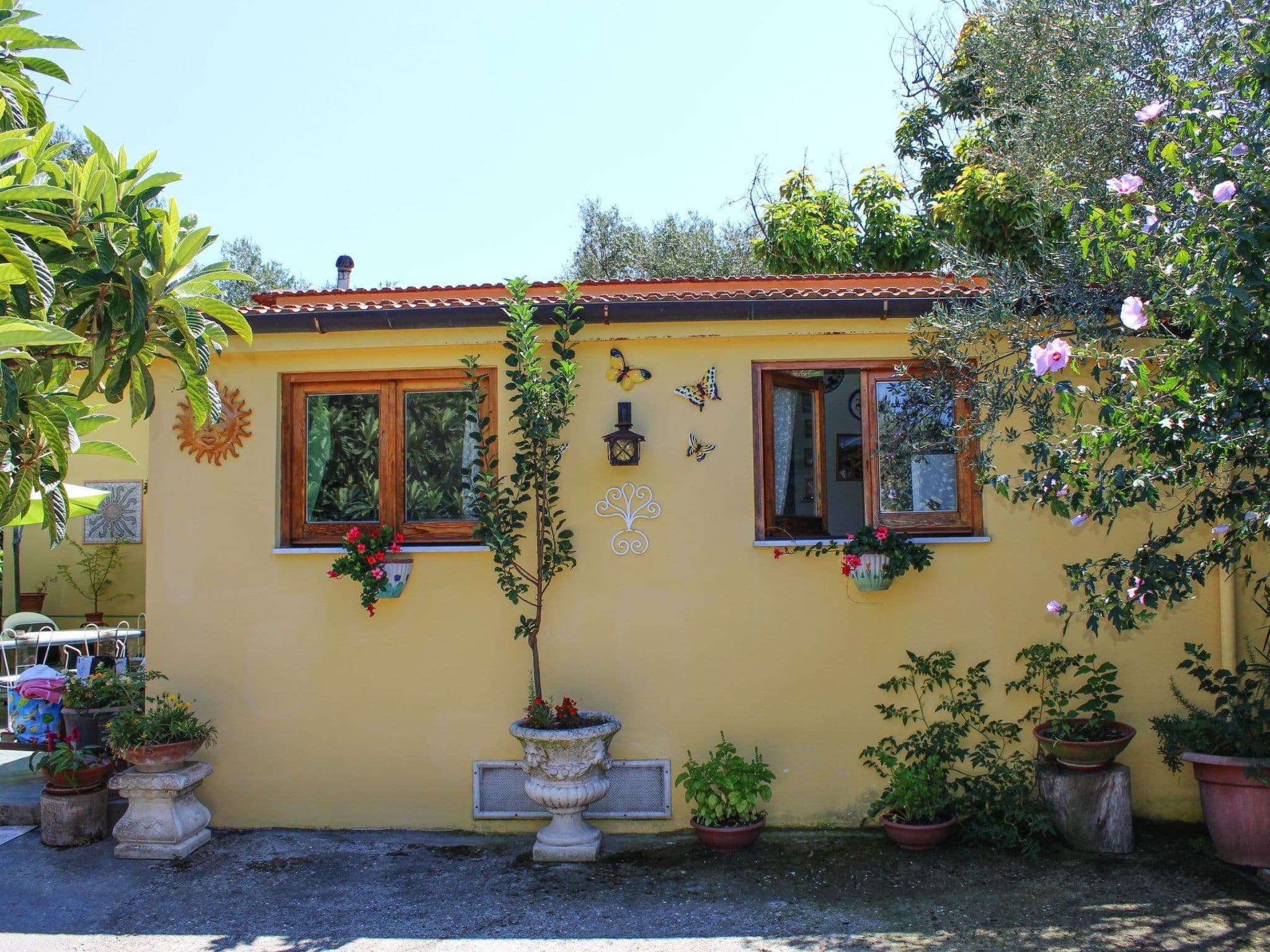 Gallery Image 31