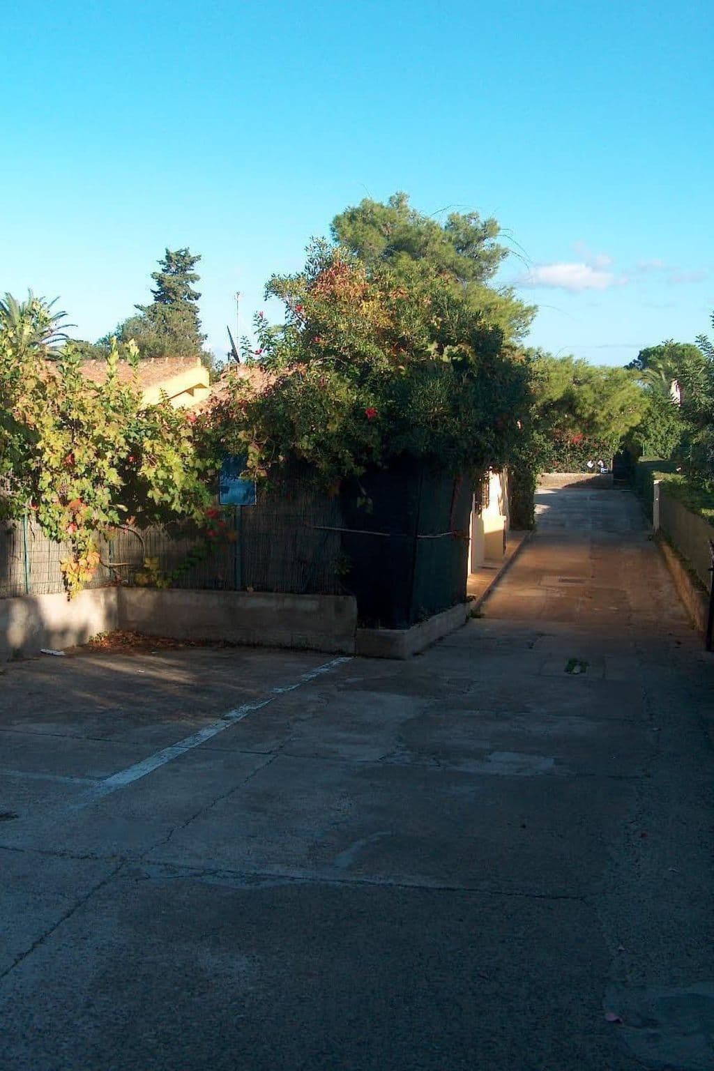 Gallery Image 28