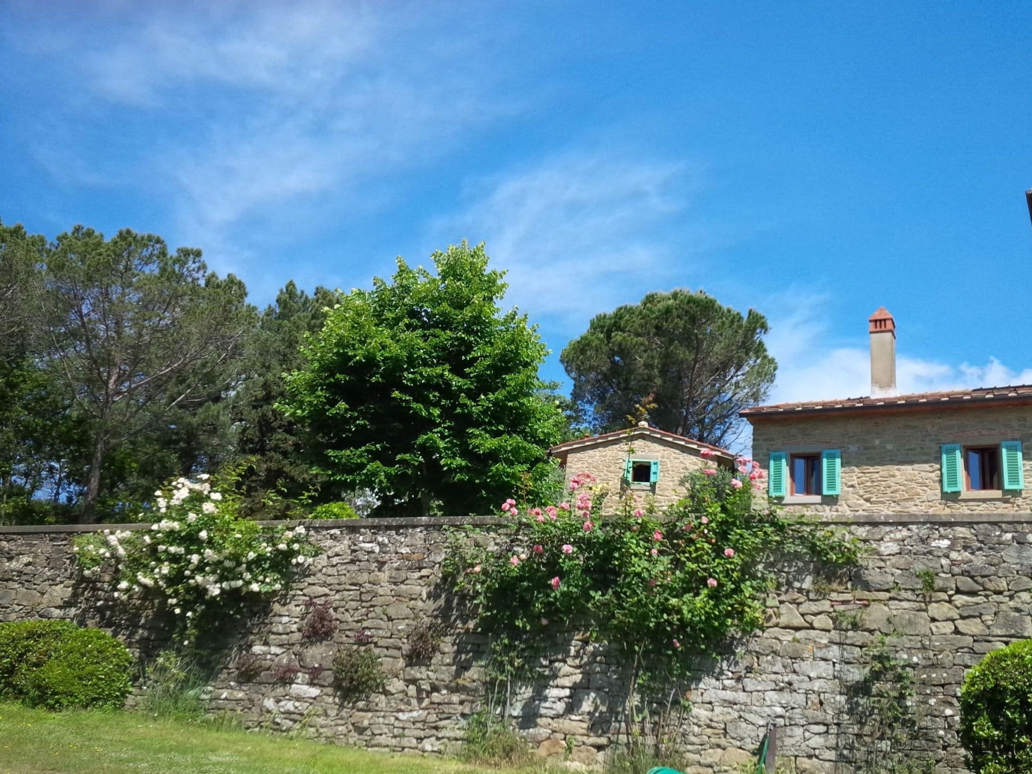 Gallery Image 50