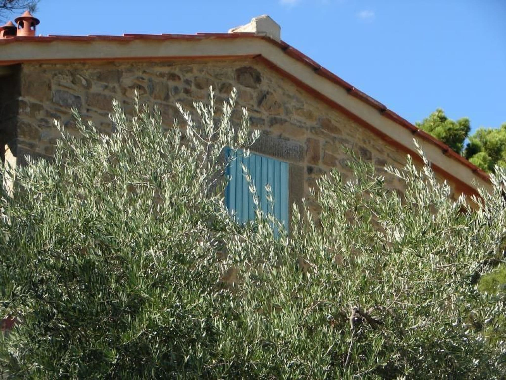Gallery Image 10