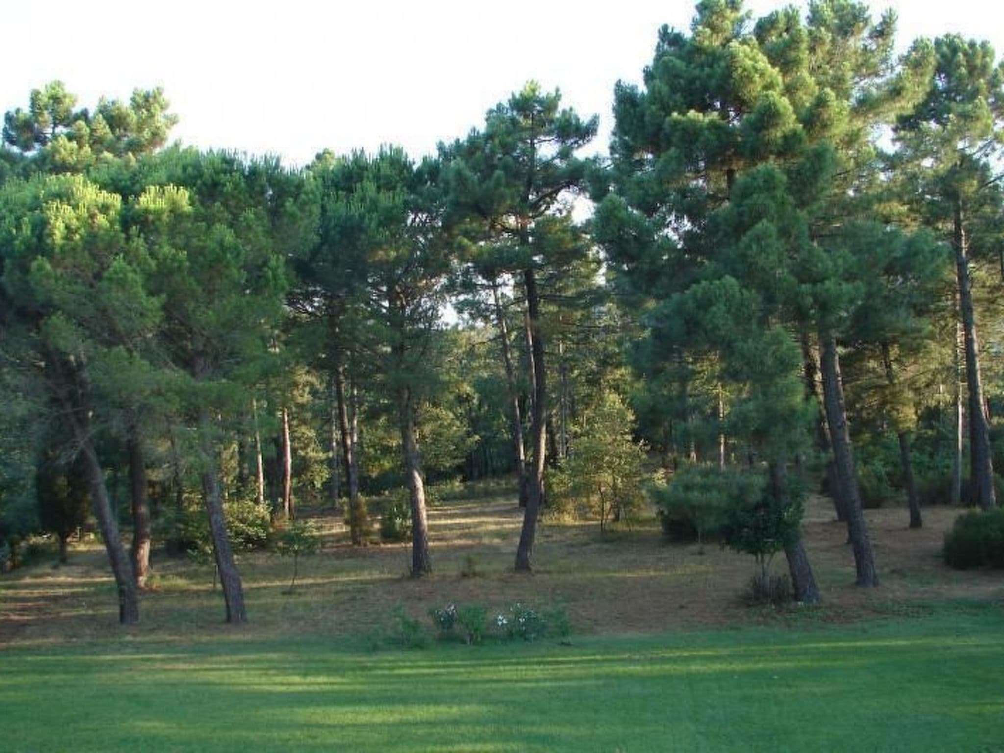 Gallery Image 12