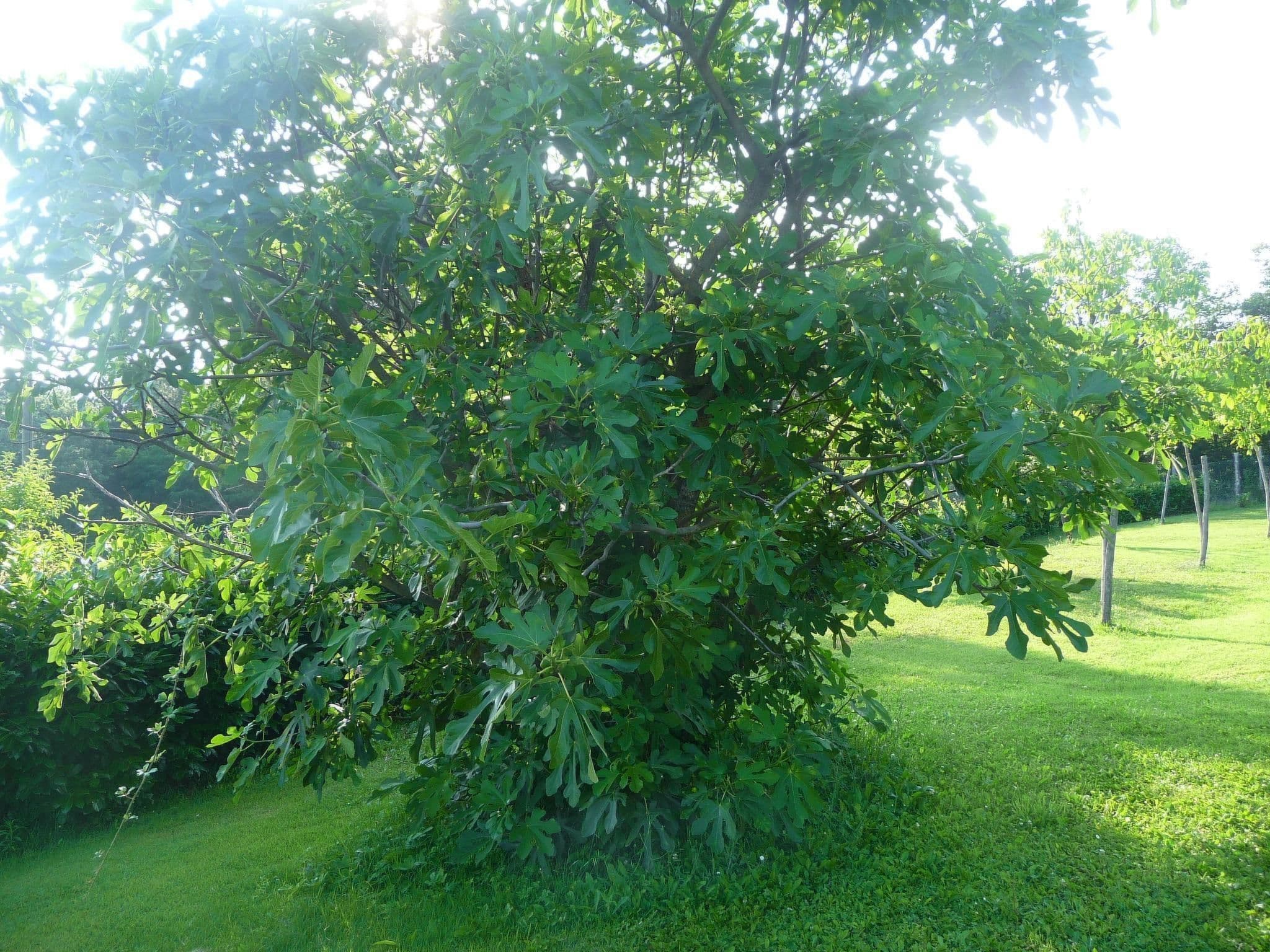 Gallery Image 27