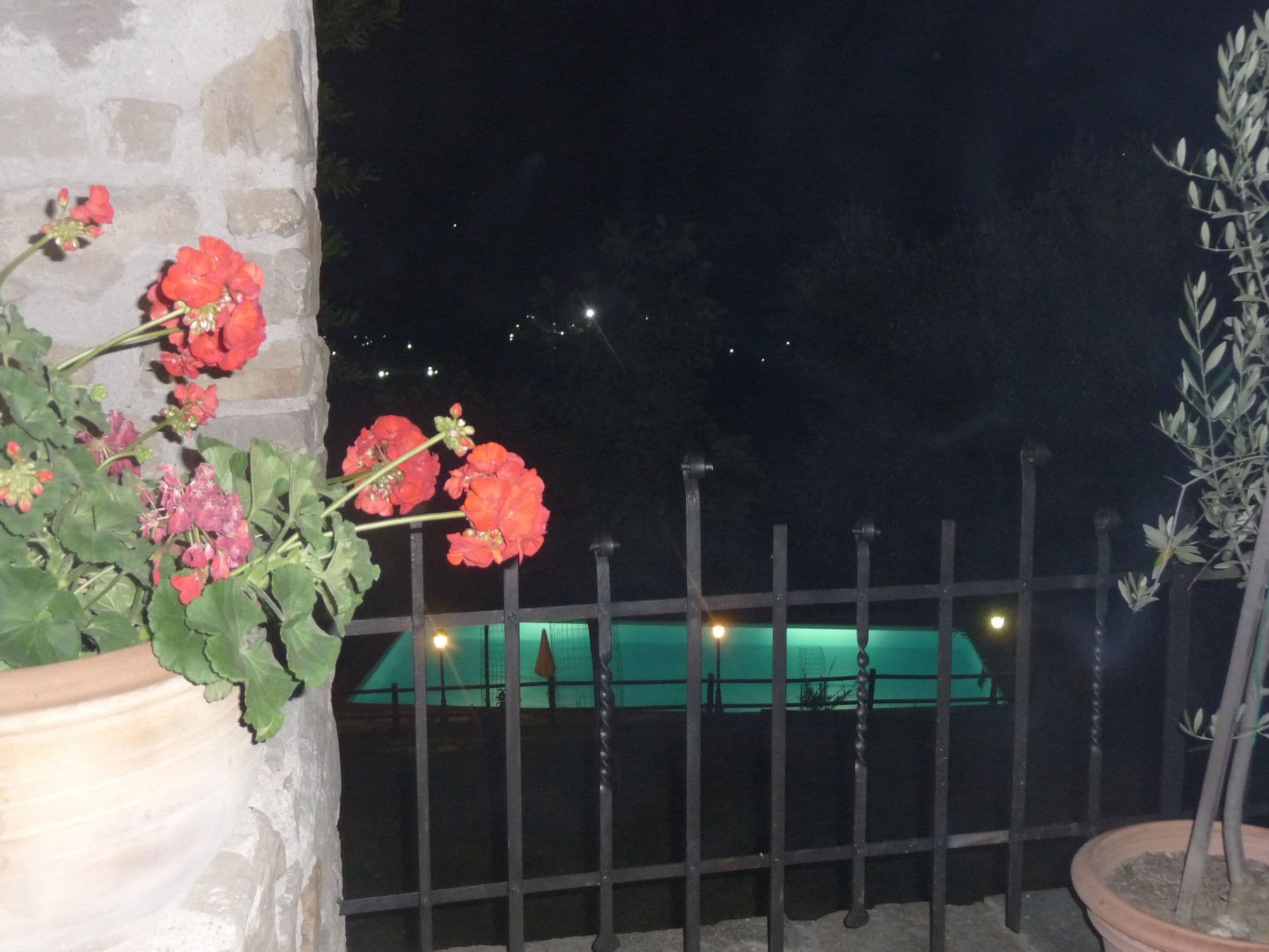 Gallery Image 36