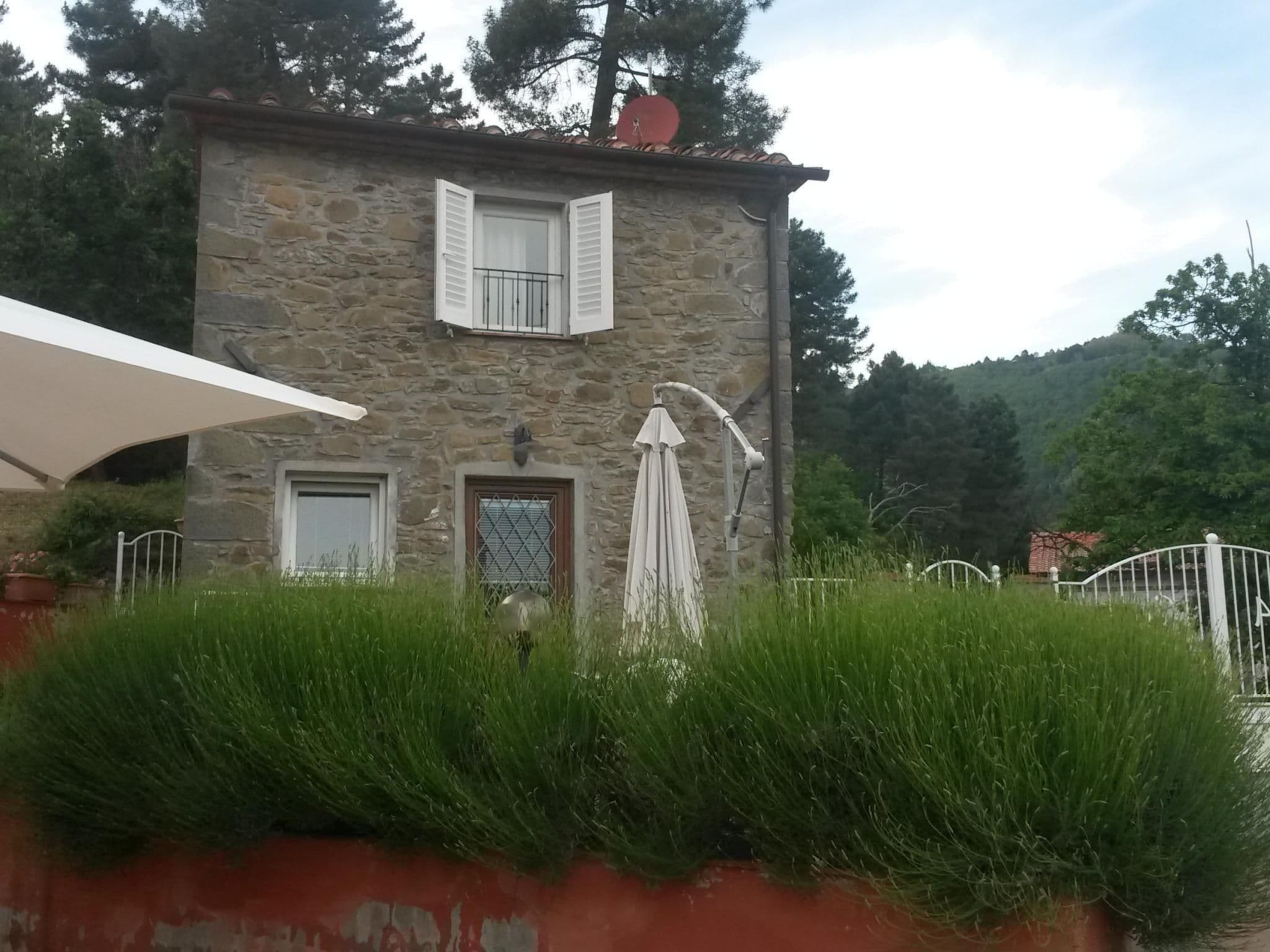 Gallery Image 21