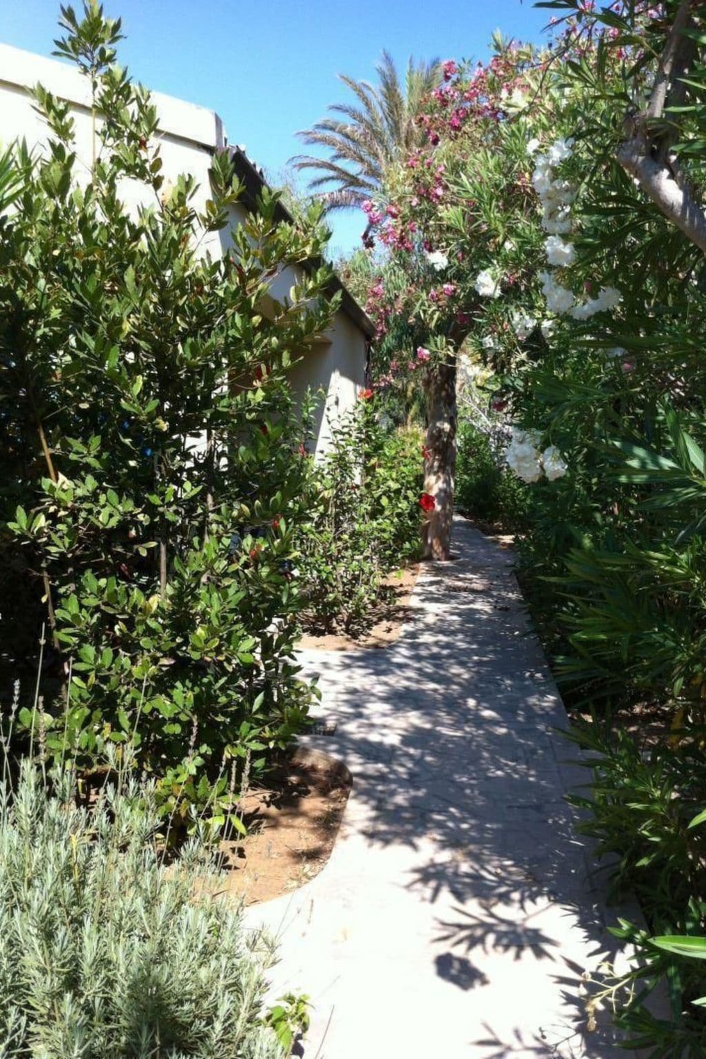 Gallery Image 39