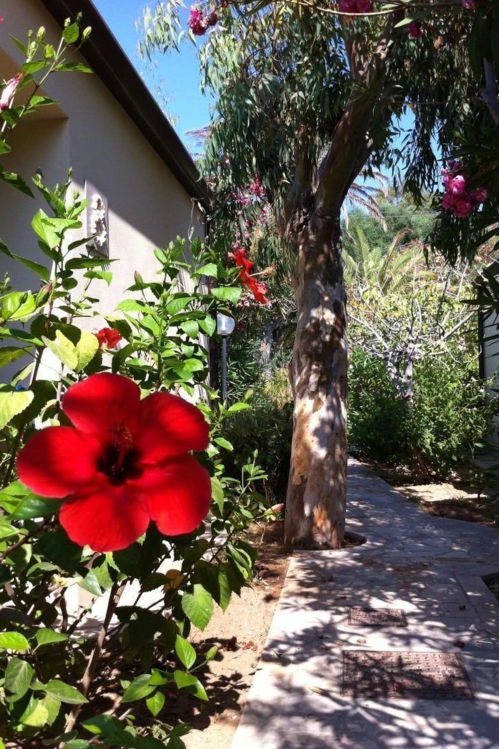 Gallery Image 38