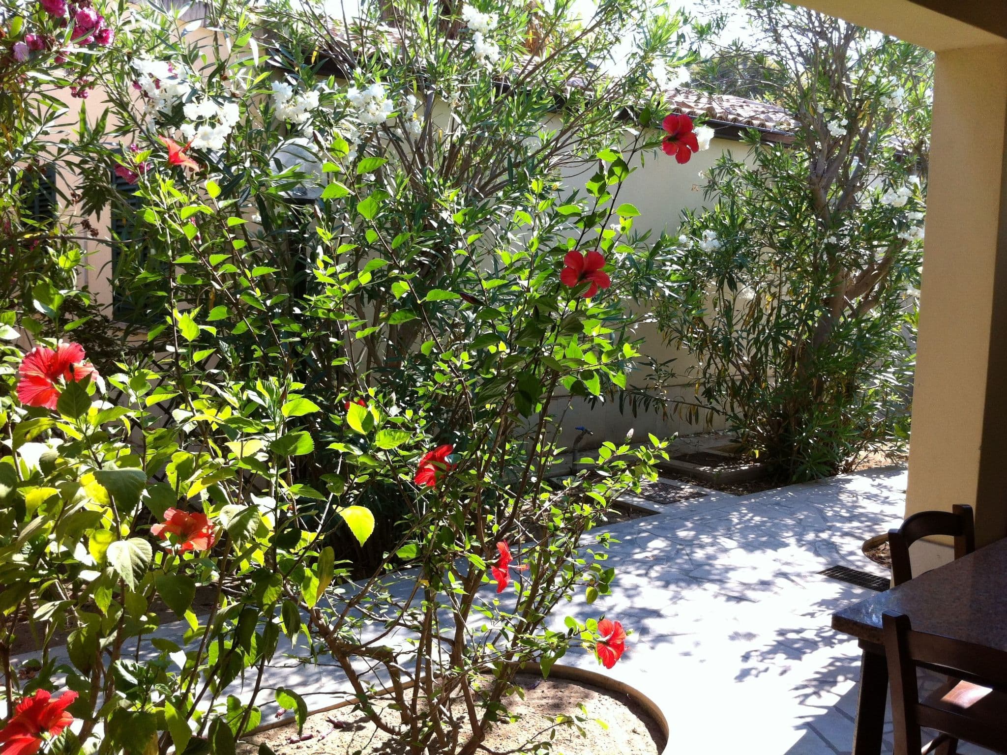 Gallery Image 21