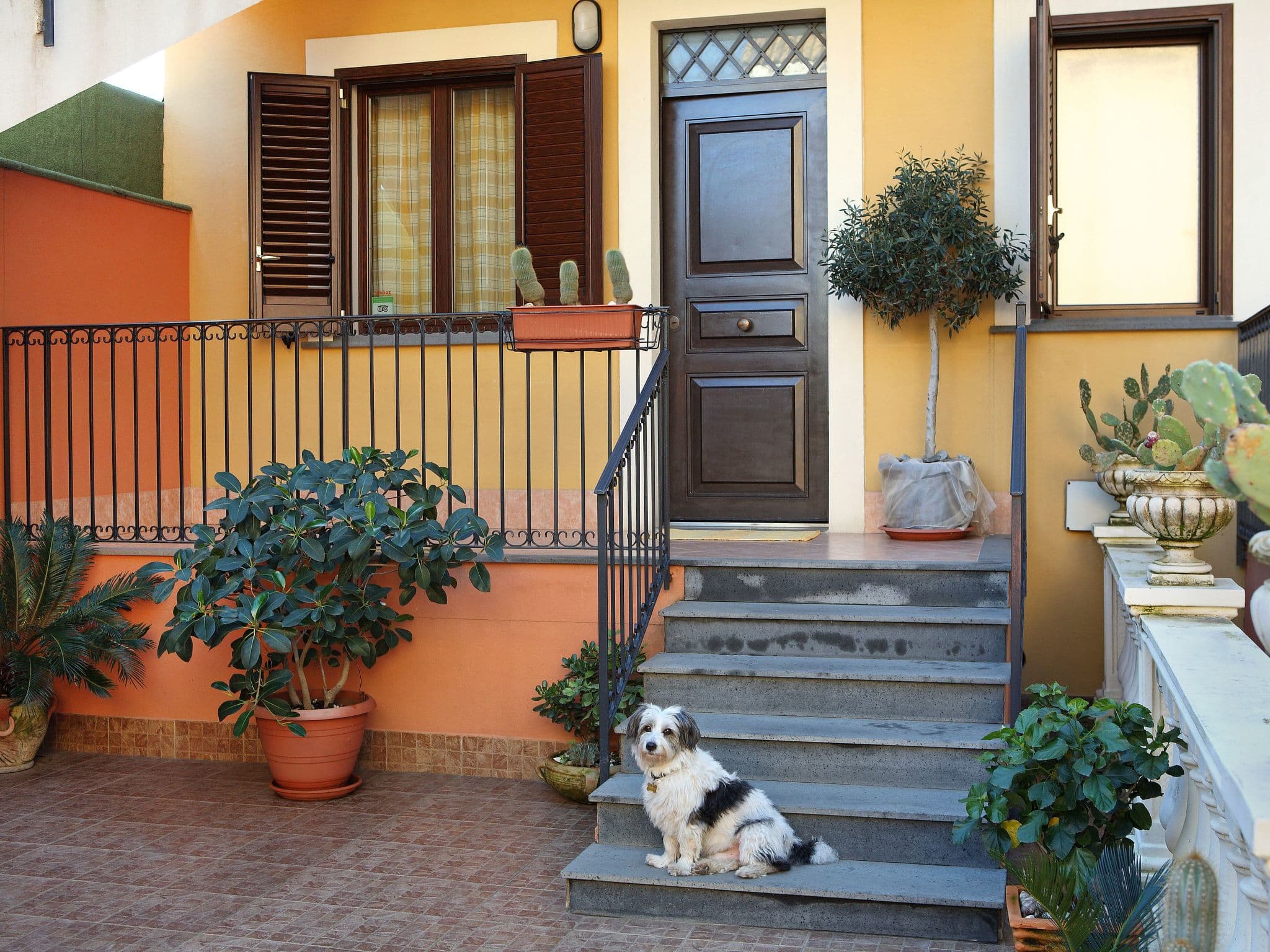 House