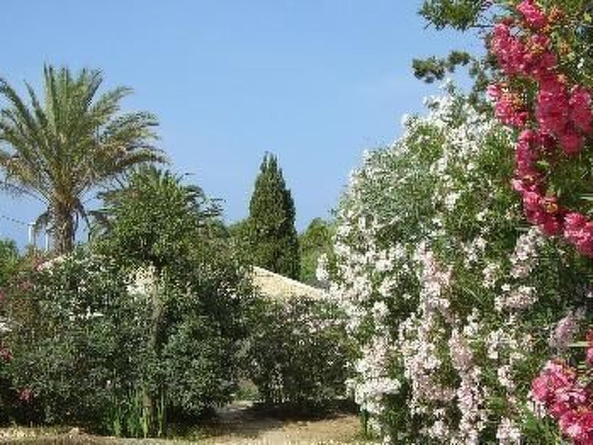 Gallery Image 30