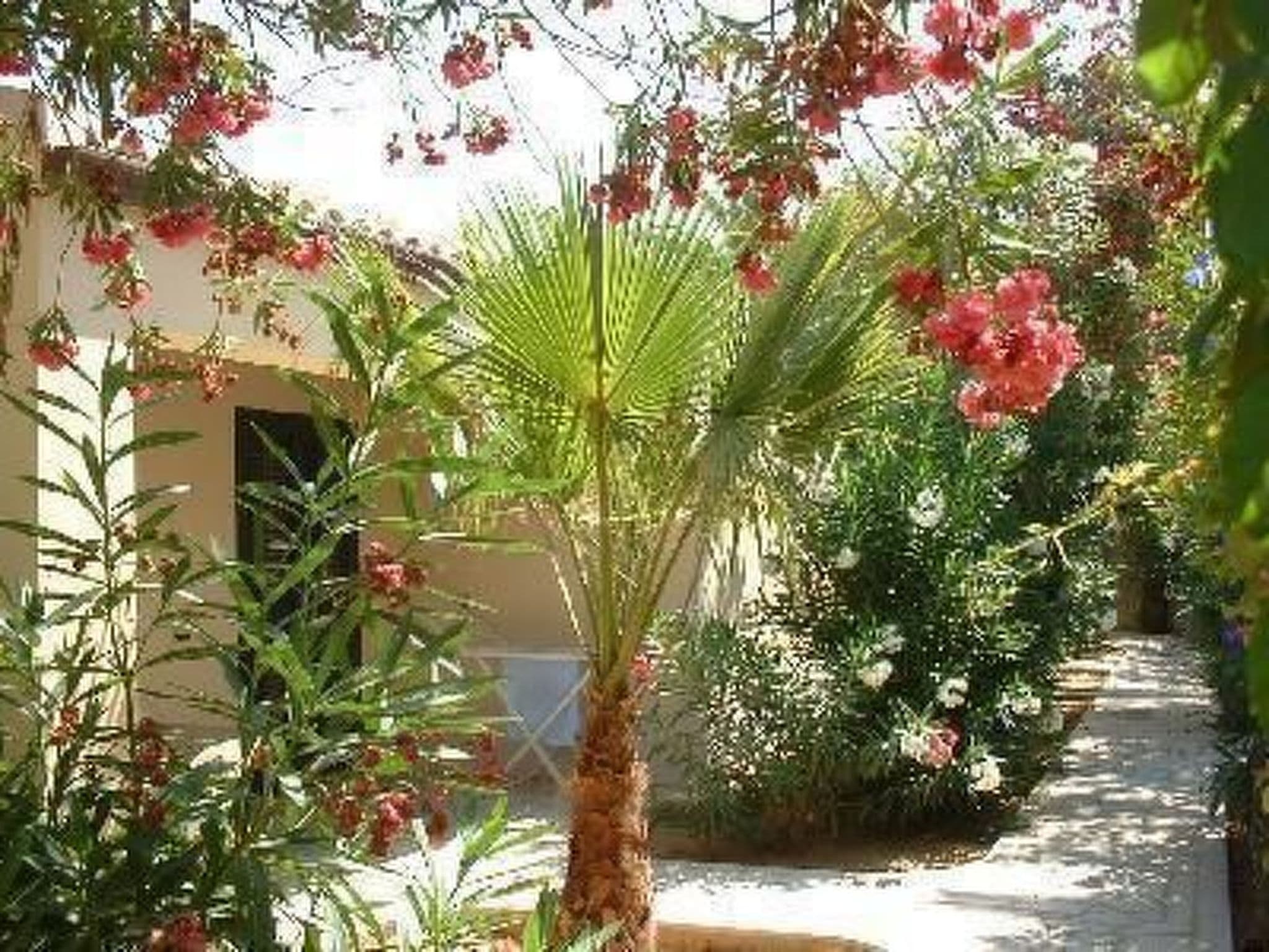Gallery Image 19