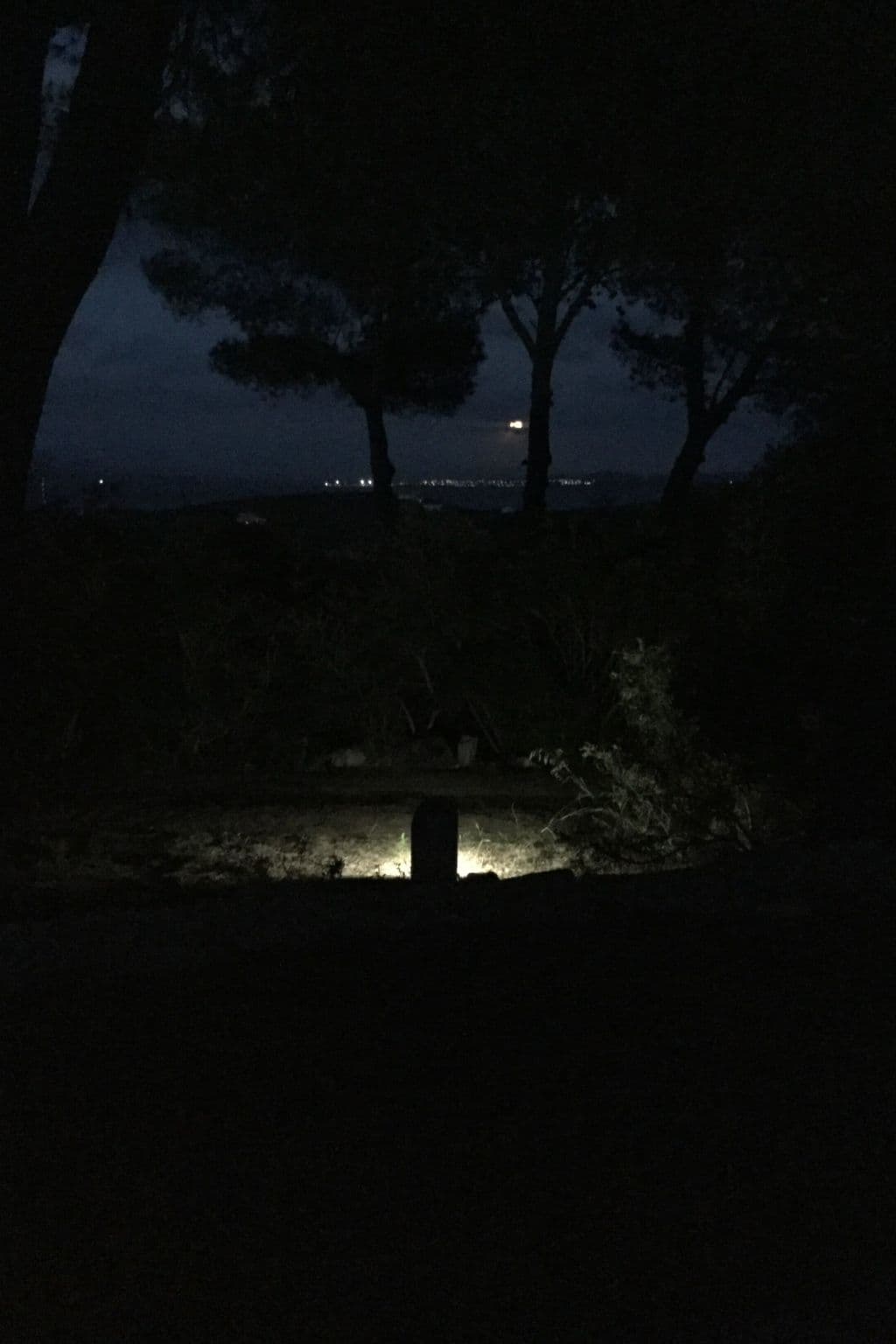 Gallery Image 36