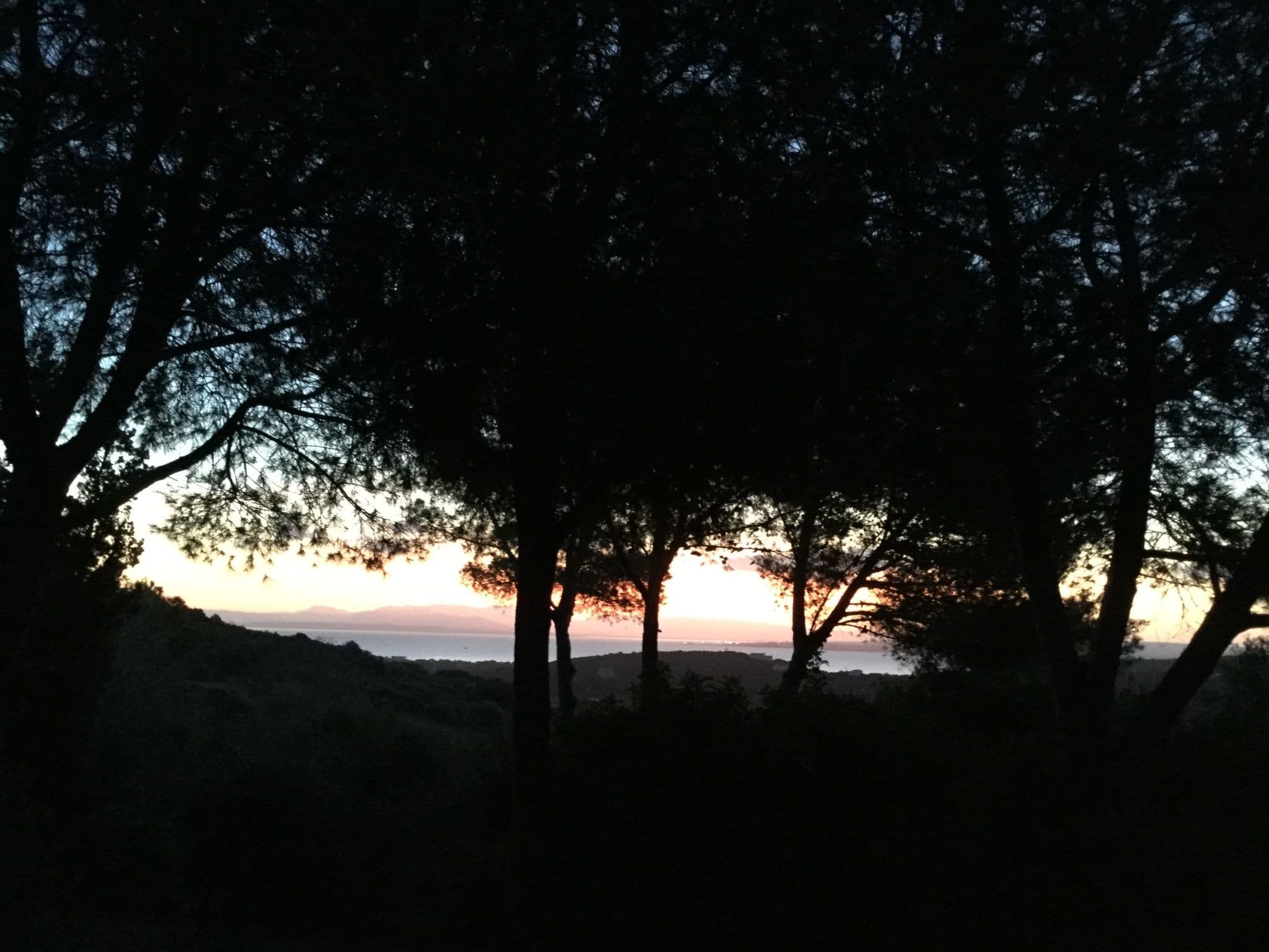 Gallery Image 41